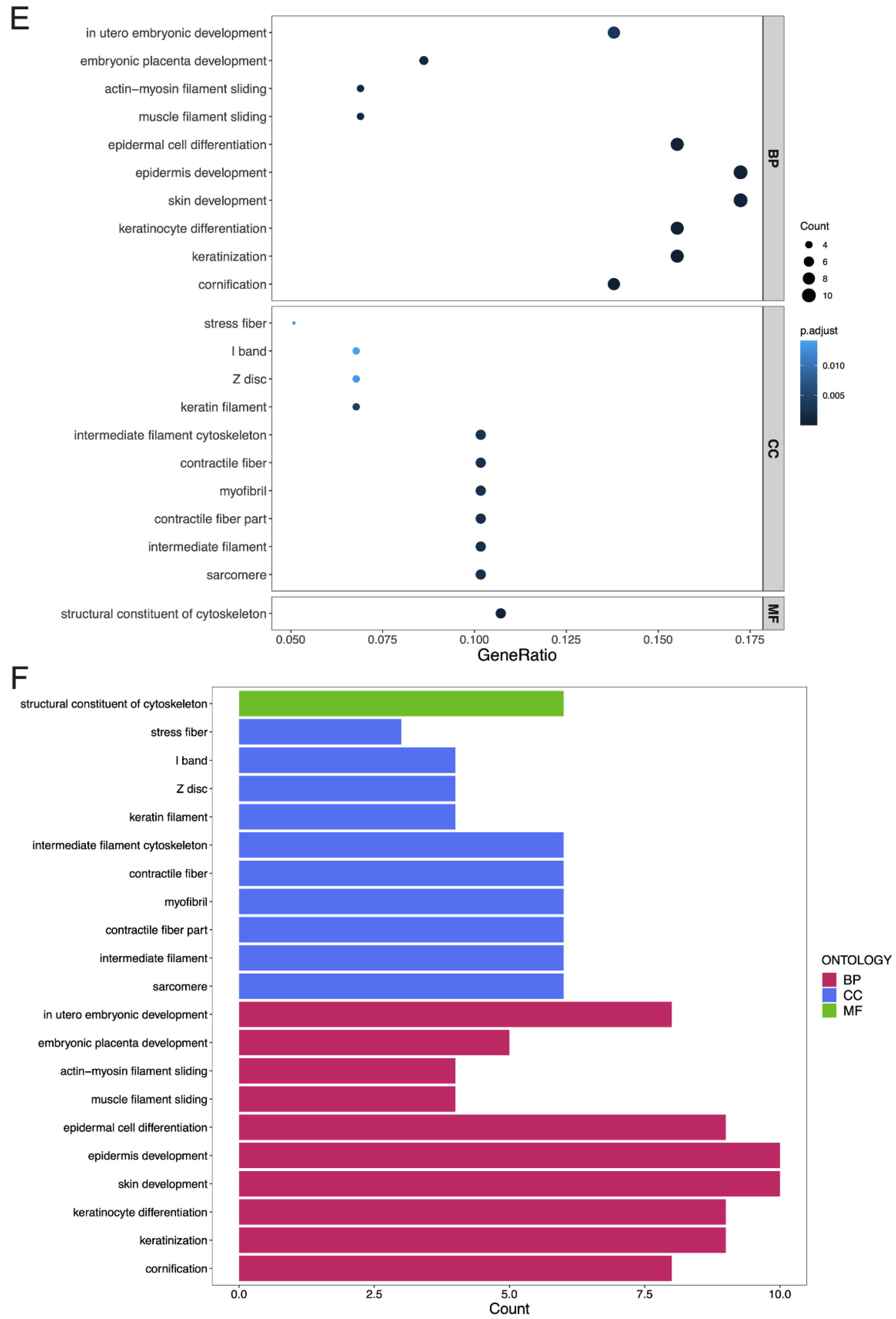 Cancers 14 06132 g006c