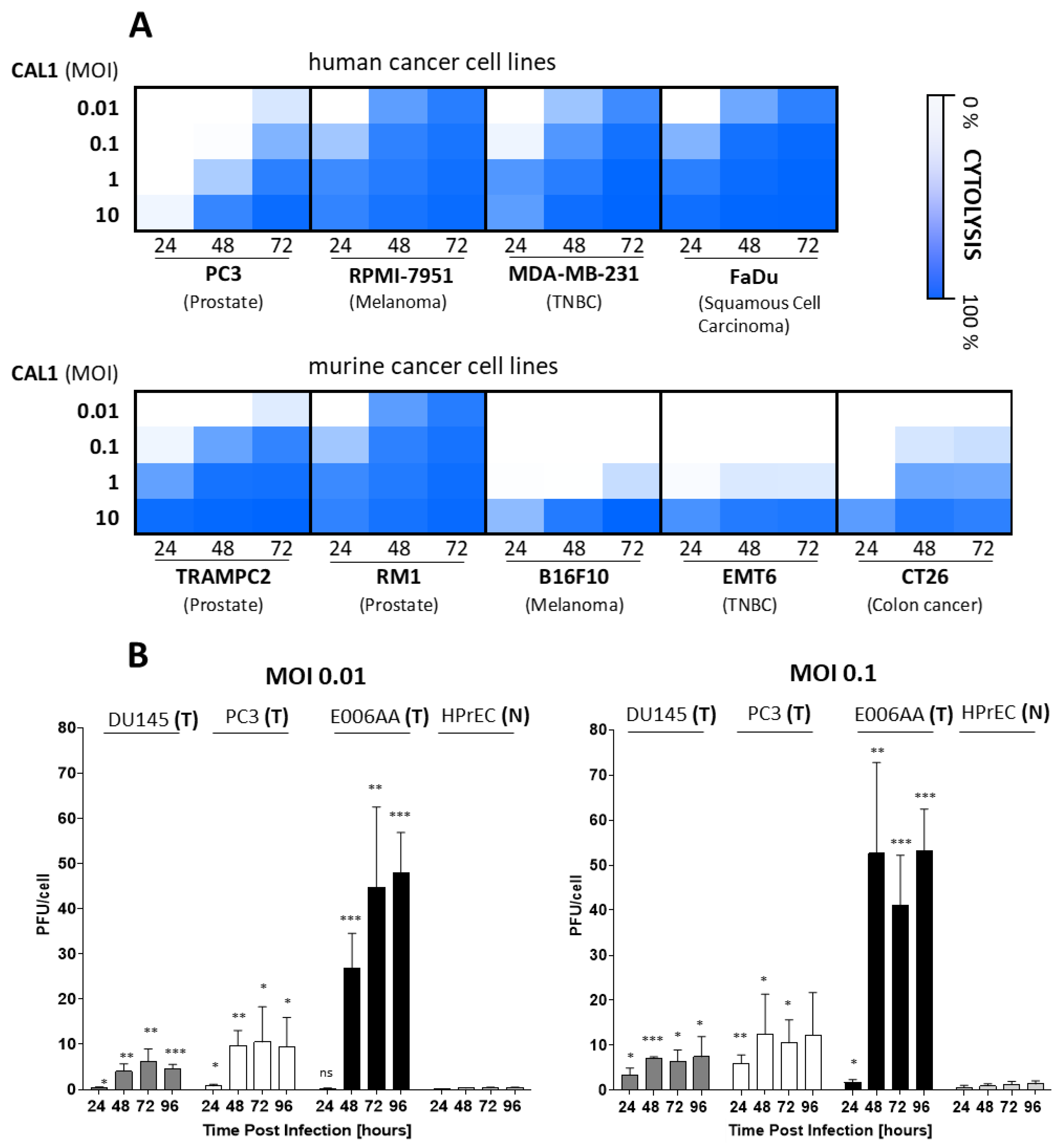 Cancers 14 06136 g001