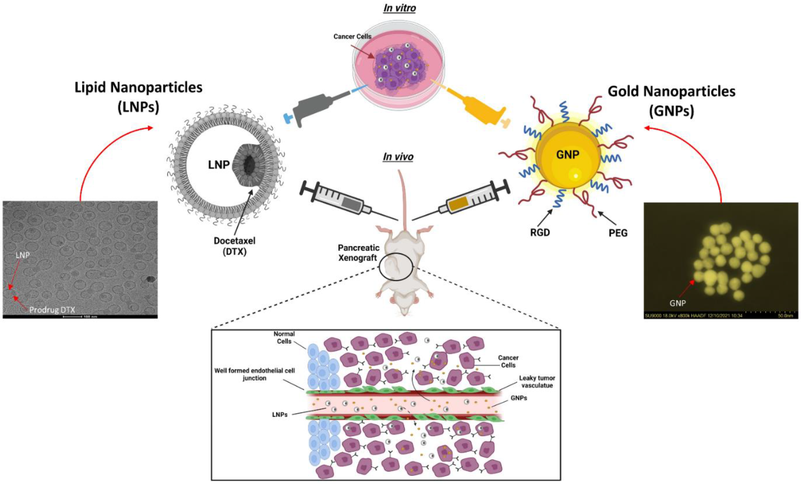 Cancers 14 06137 g001 Cancers 14 06137 g001