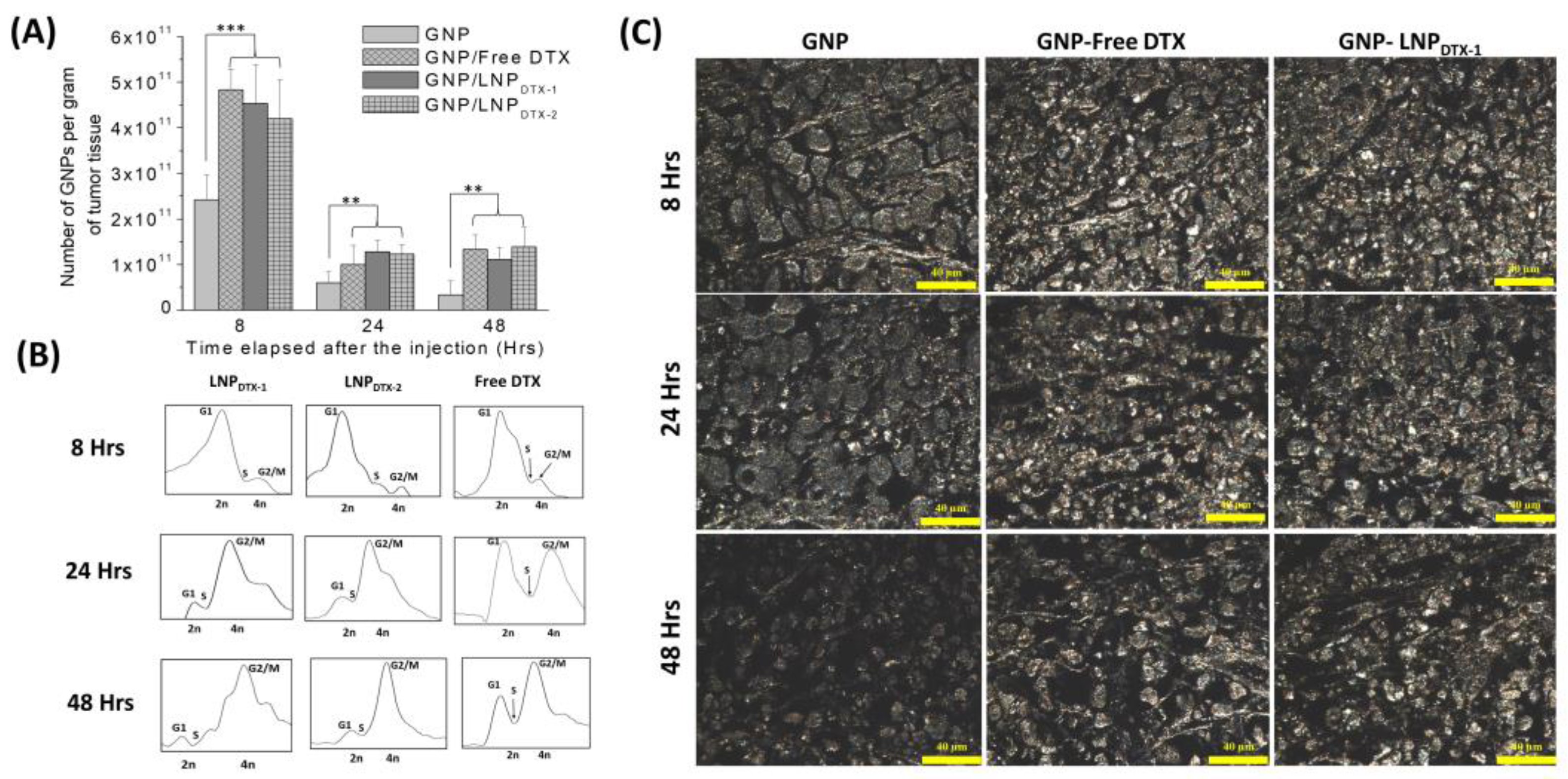 Cancers 14 06137 g004a Cancers 14 06137 g004a