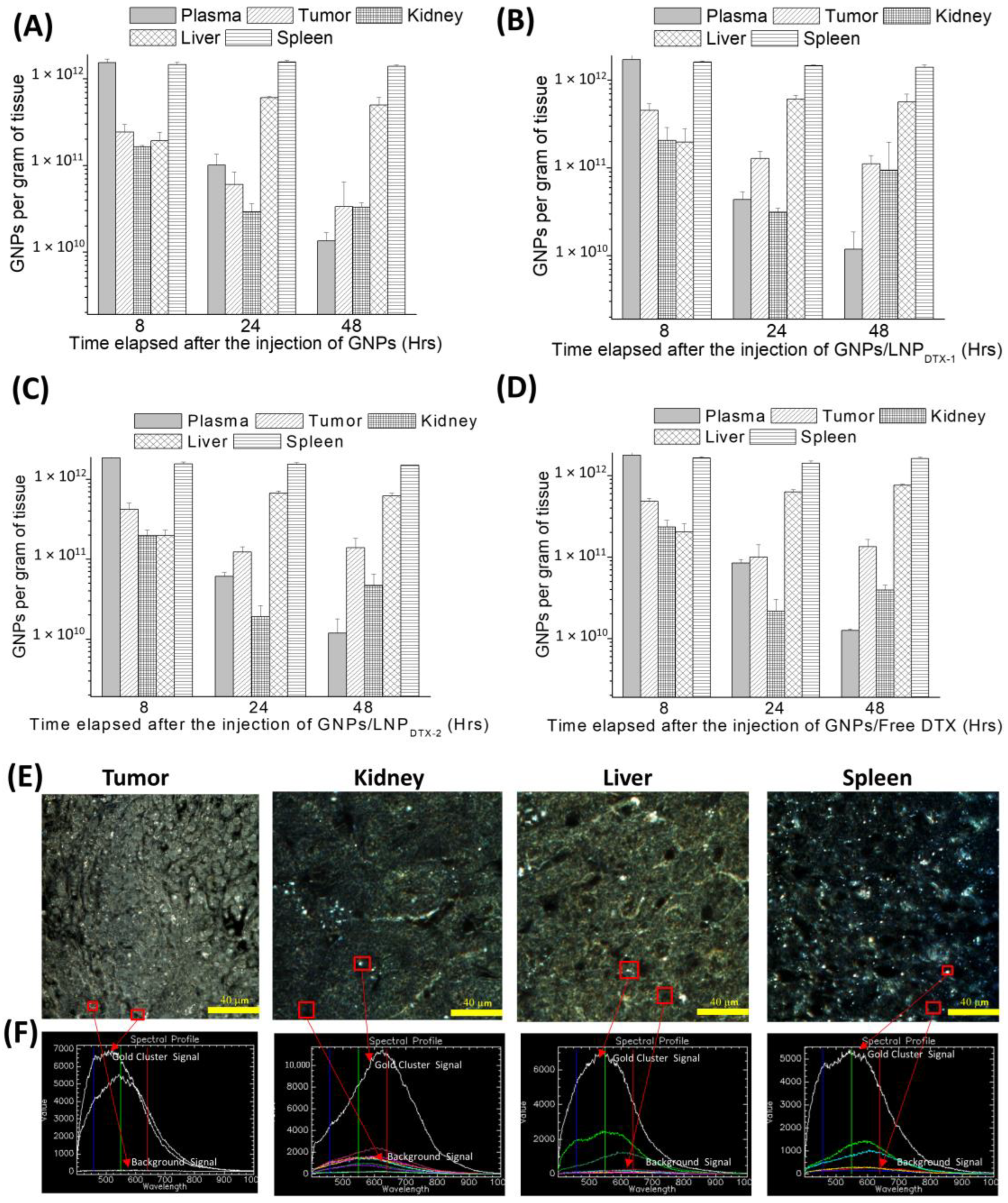 Cancers 14 06137 g005 Cancers 14 06137 g005