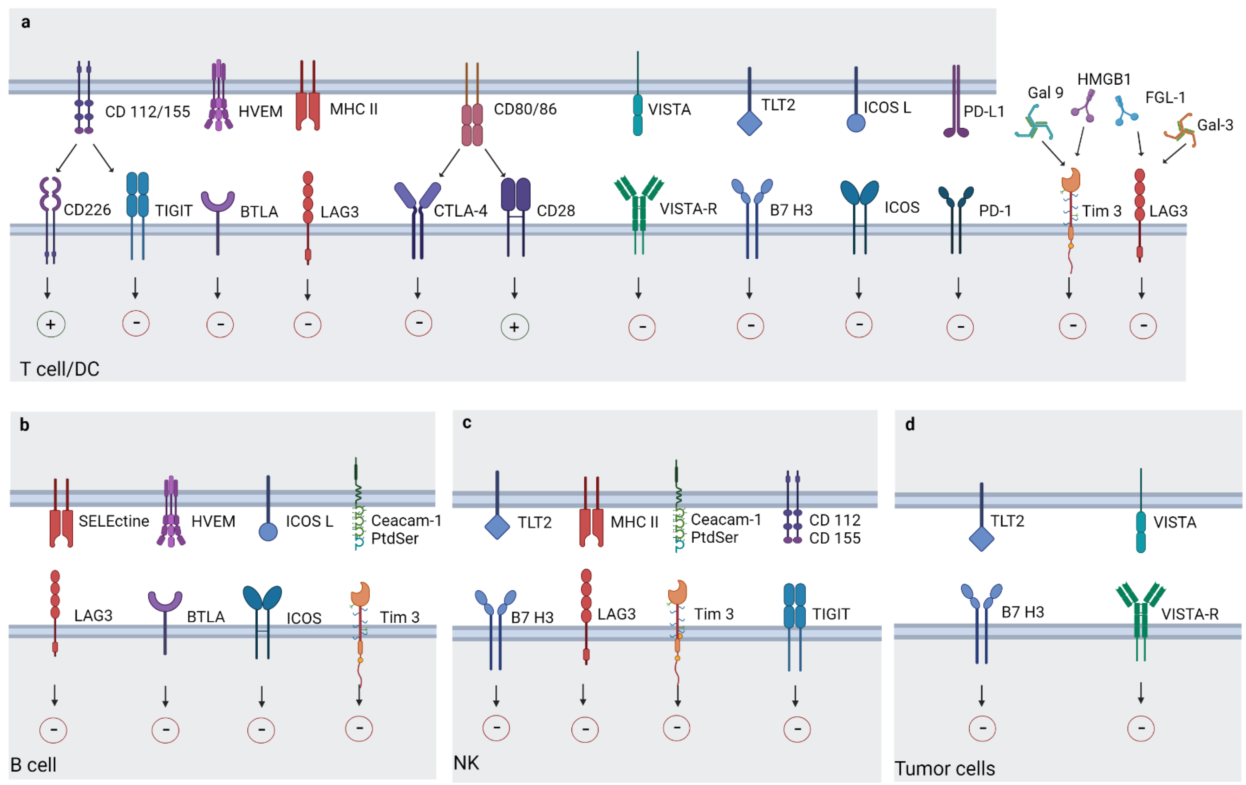 Cancers 14 06145 g002