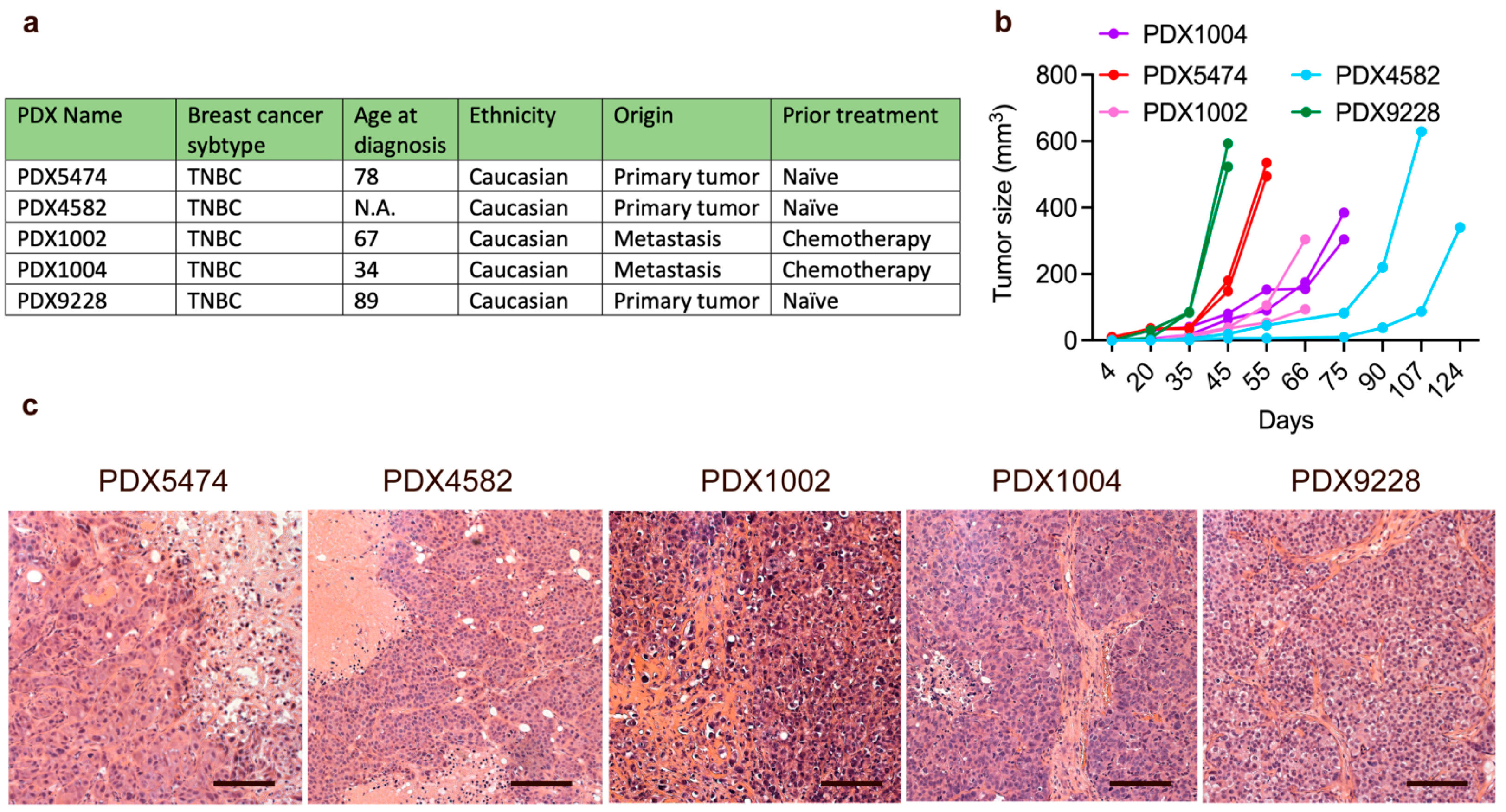 Cancers 14 06153 g001
