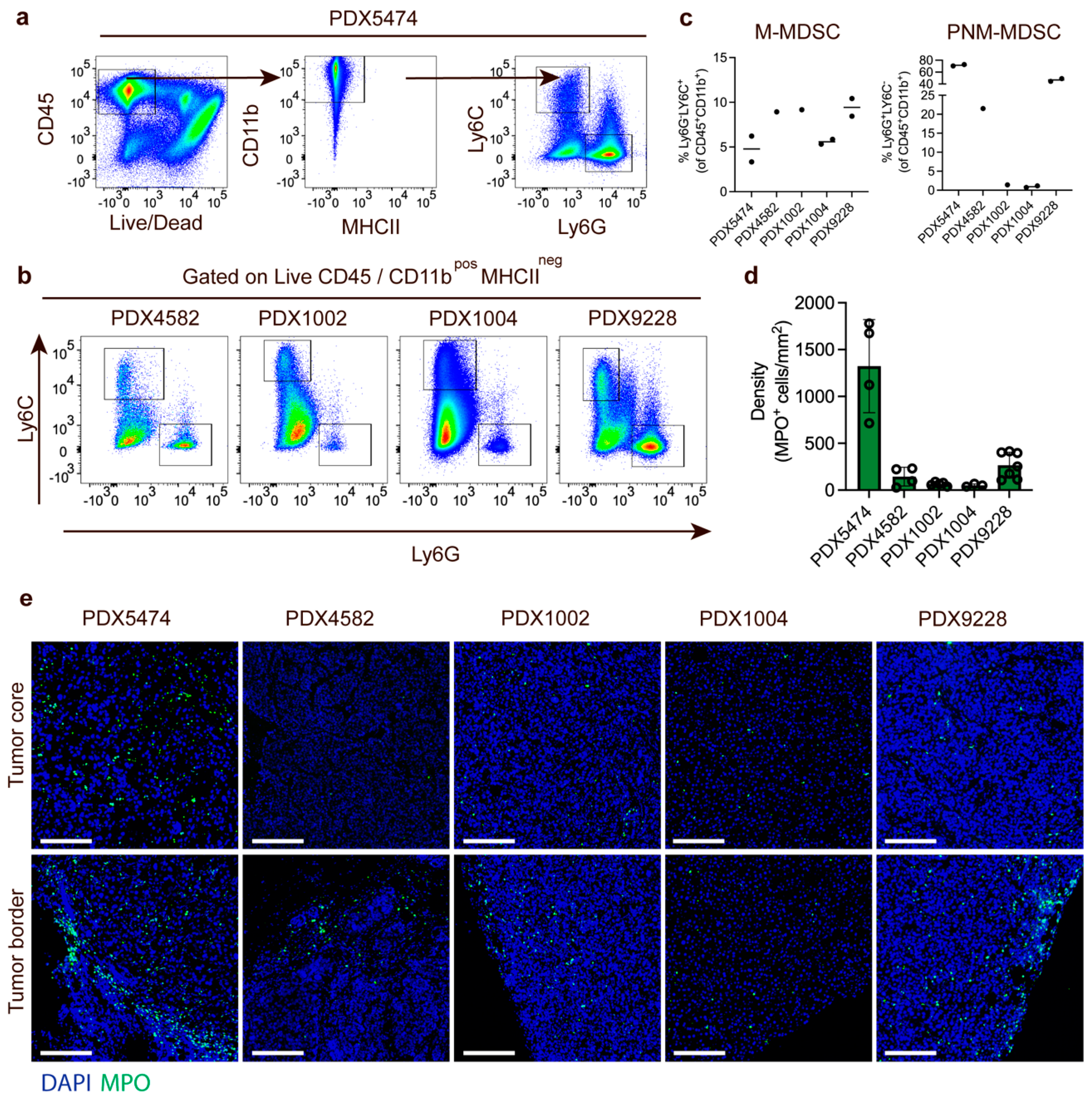 Cancers 14 06153 g002