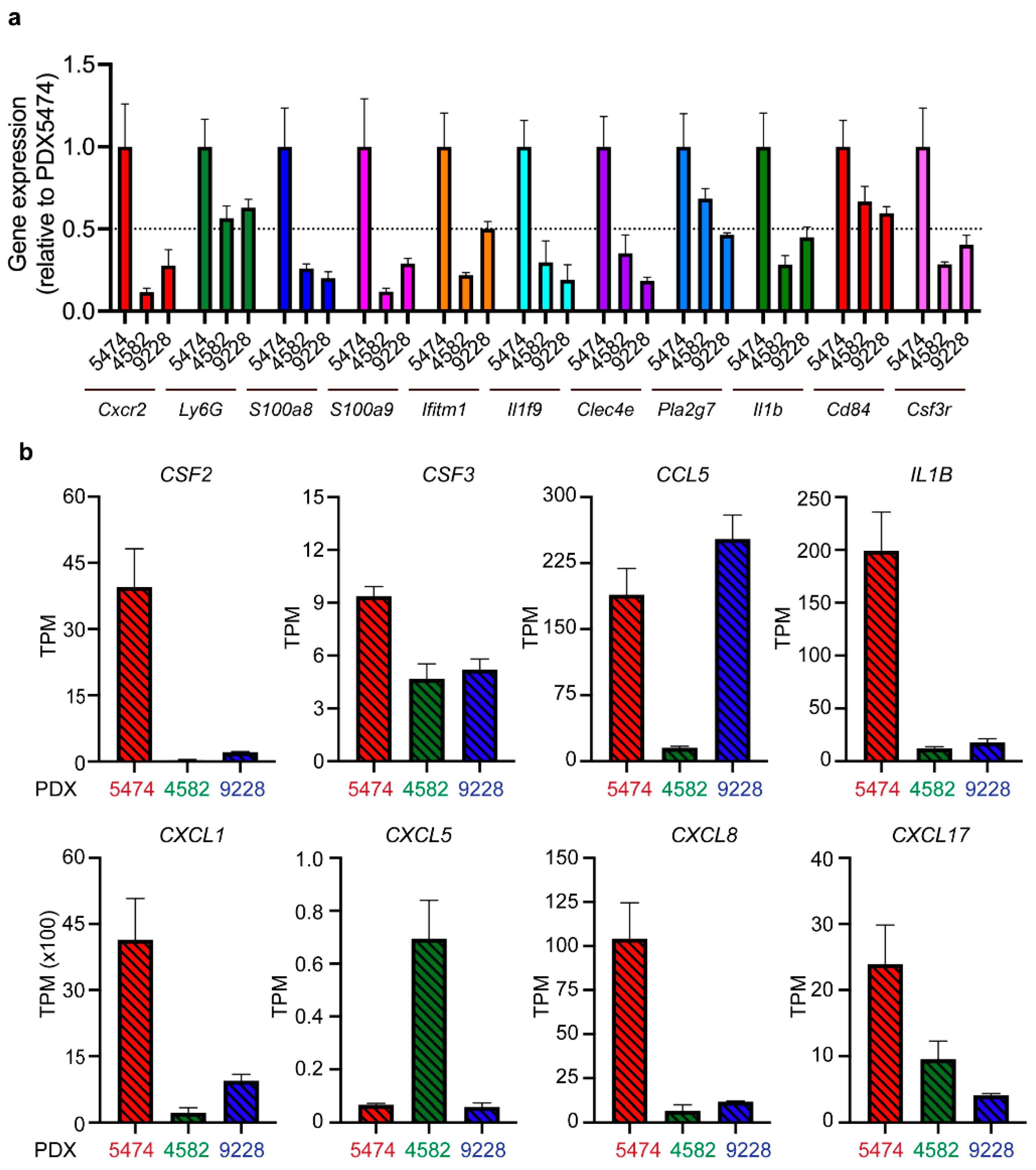 Cancers 14 06153 g003