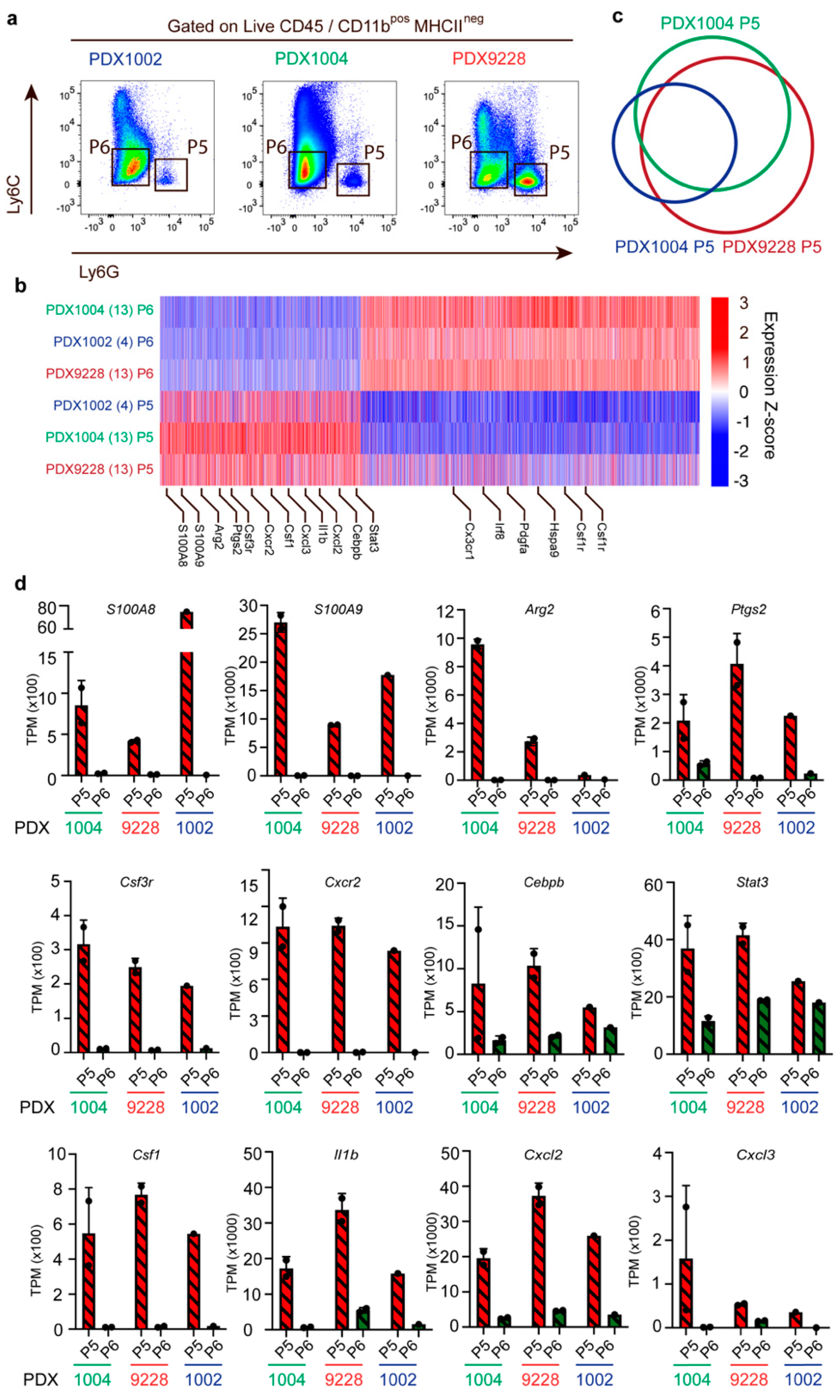 Cancers 14 06153 g004