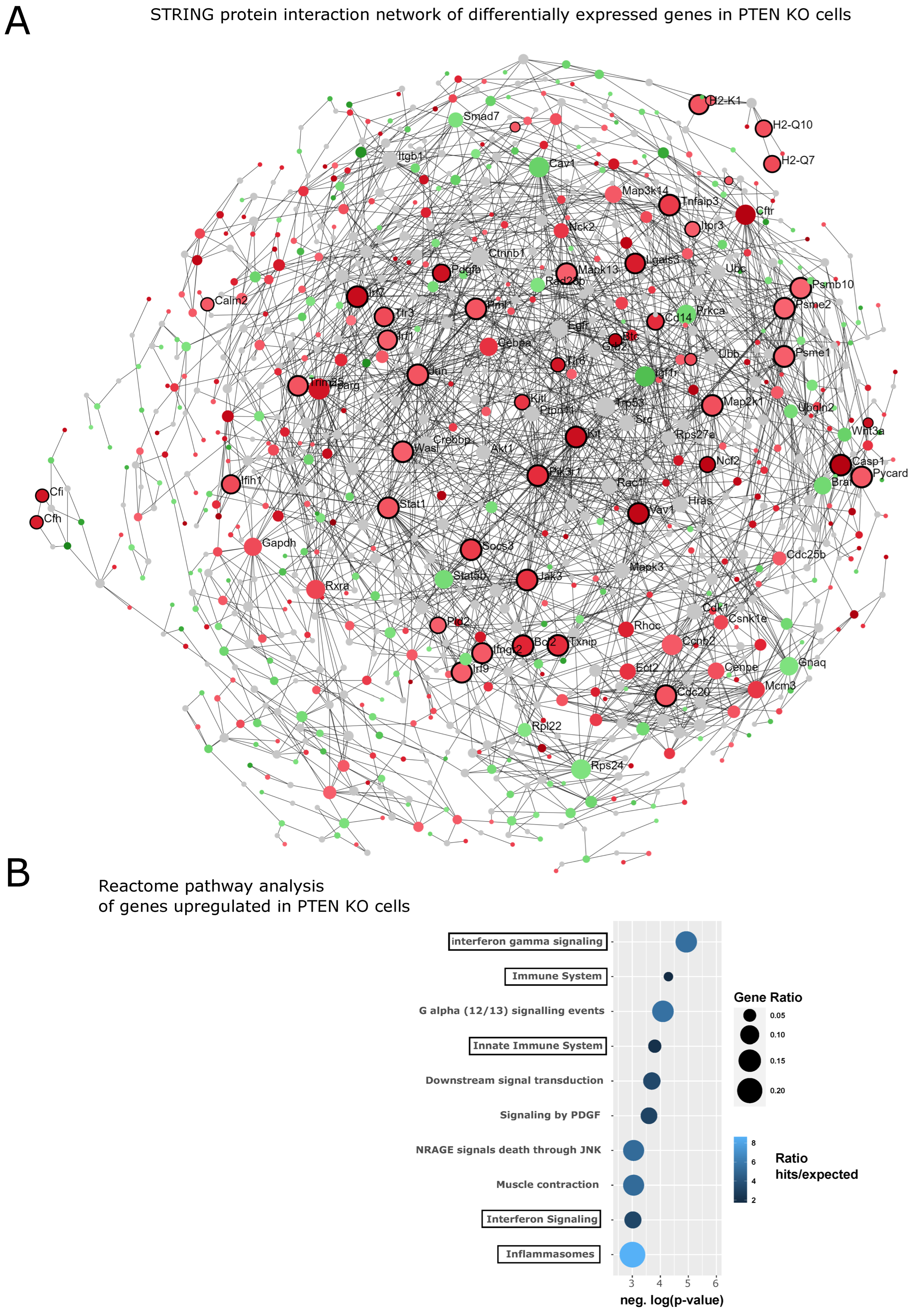 Cancers 14 06164 g008