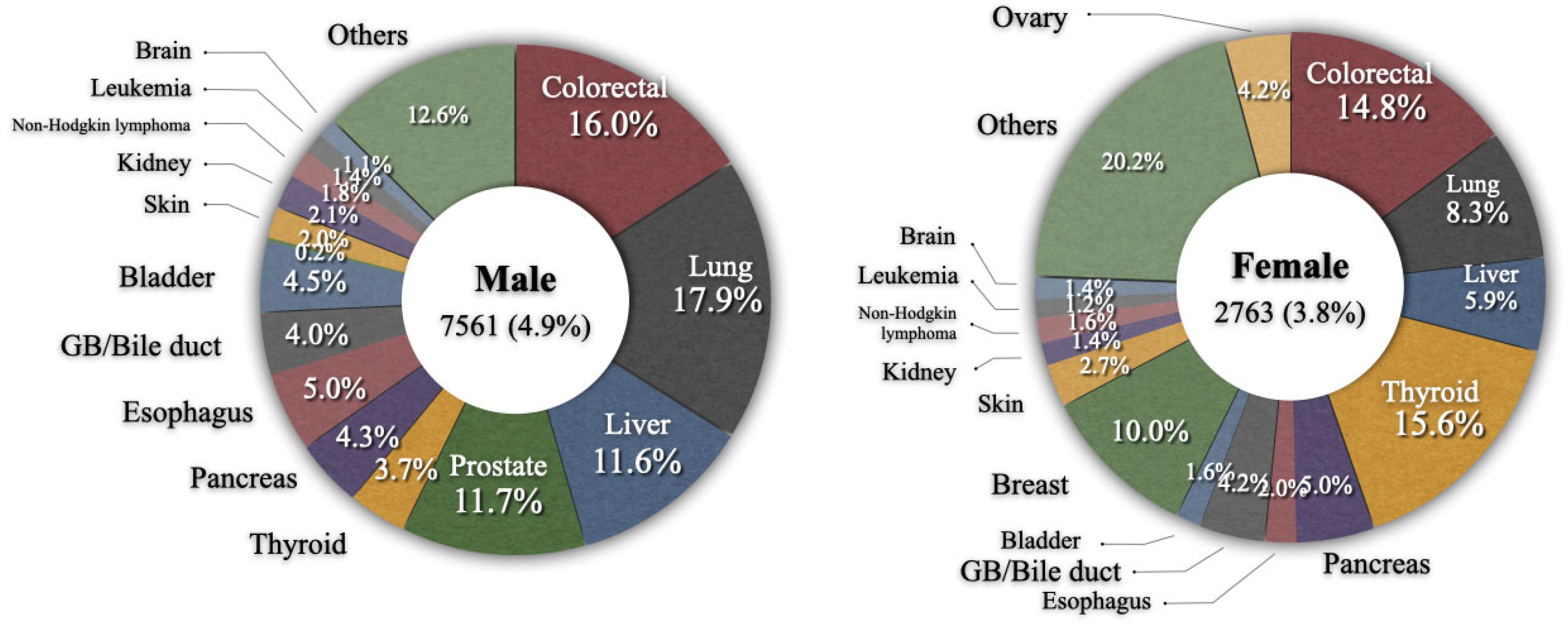 Cancers 14 06165 g001