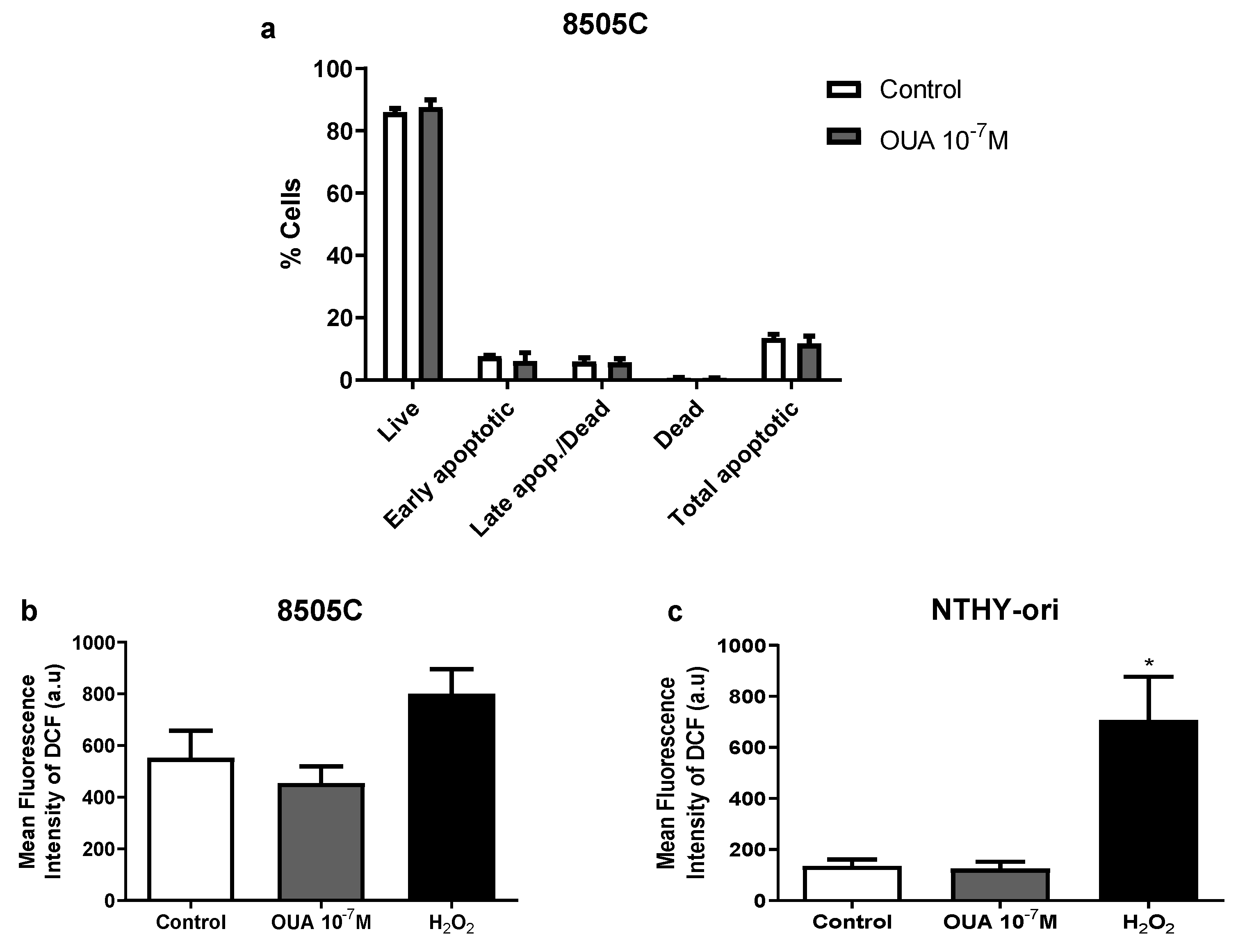 Cancers 14 06168 g002