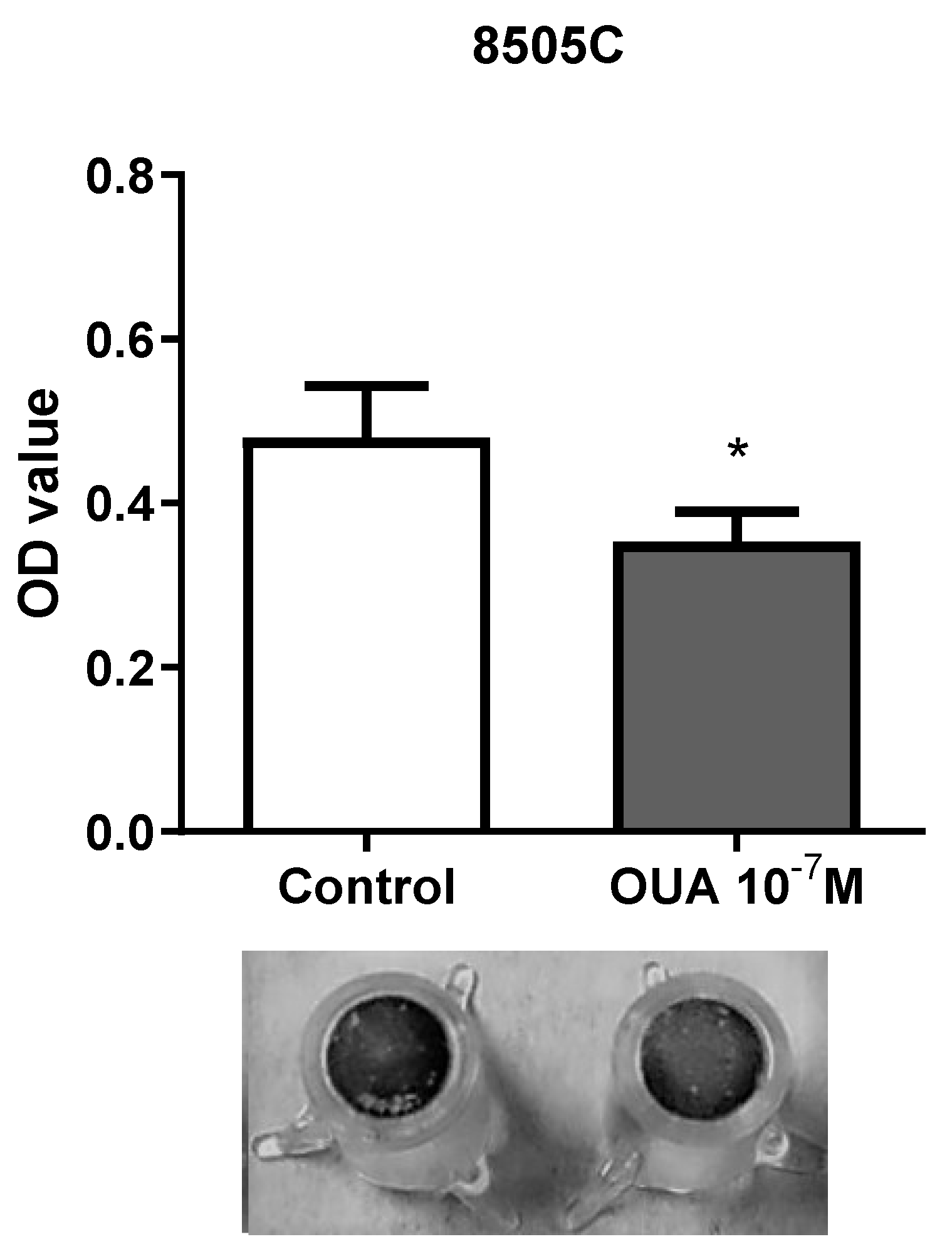 Cancers 14 06168 g004