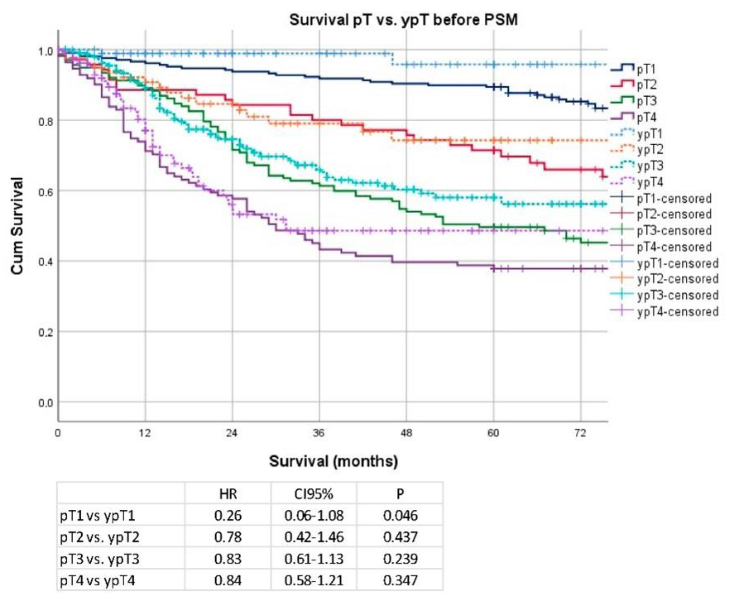 Cancers 14 06169 g002