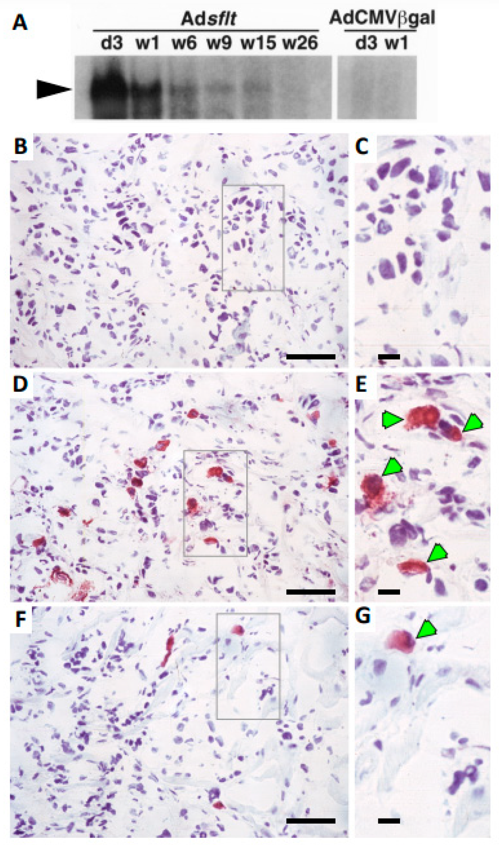 Cancers 14 06175 g004 Cancers 14 06175 g004