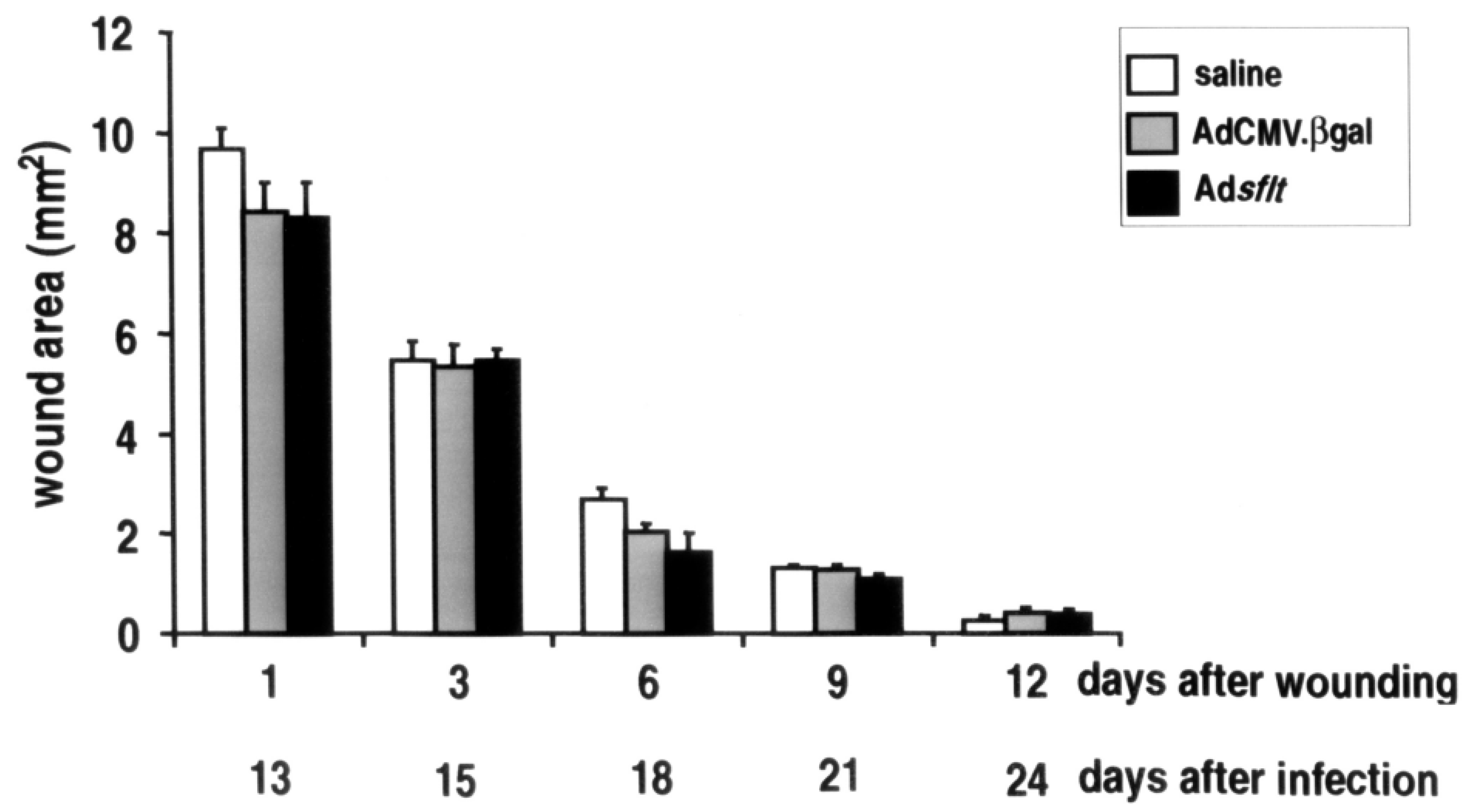 Cancers 14 06175 g007 Cancers 14 06175 g007