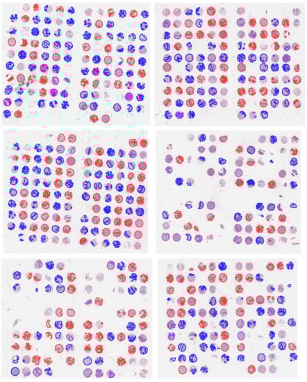 Cancers 14 06181 g0a1