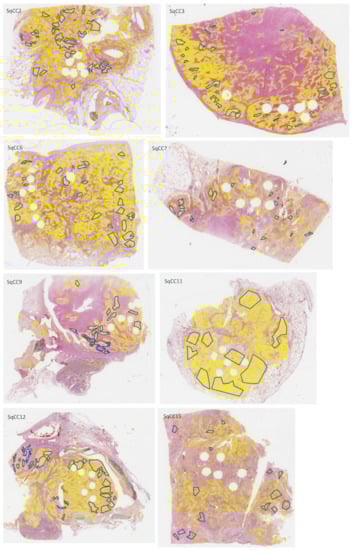 Cancers 14 06181 g0a2b
