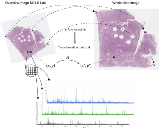 Cancers 14 06181 g0a3