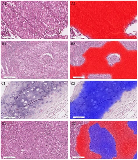 Cancers 14 06181 g0a5a Cancers 14 06181 g0a5a