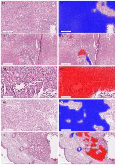 Cancers 14 06181 g0a5b