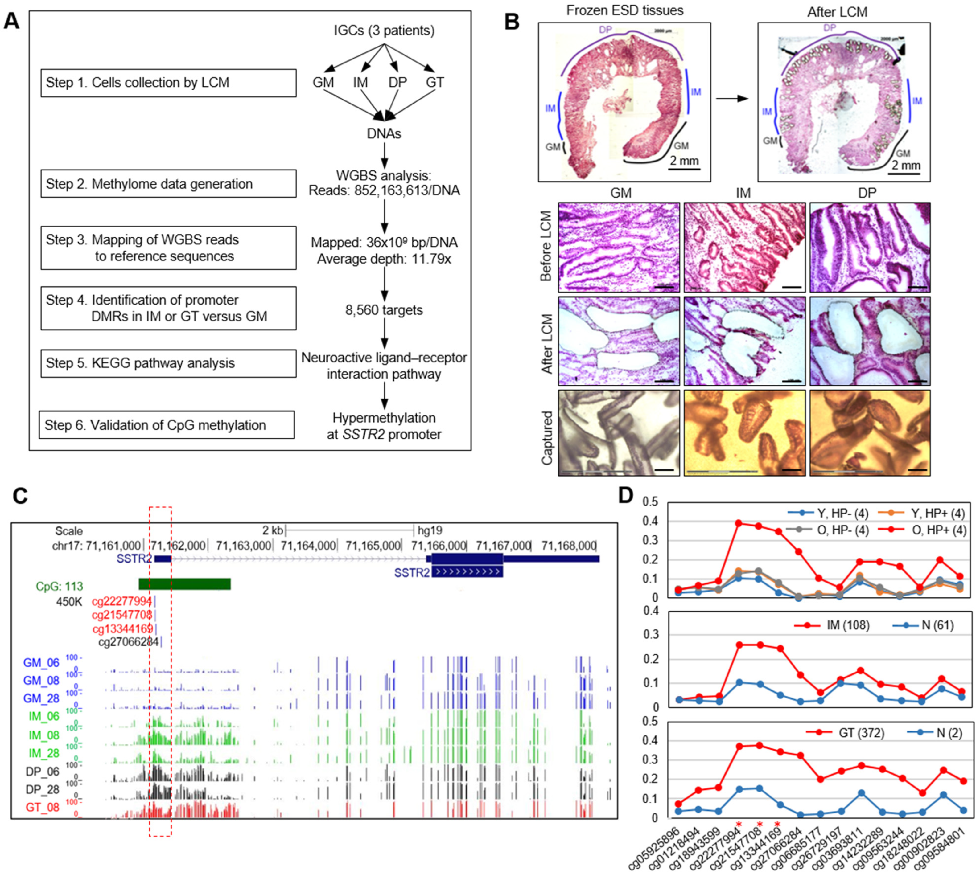 Cancers 14 06183 g001