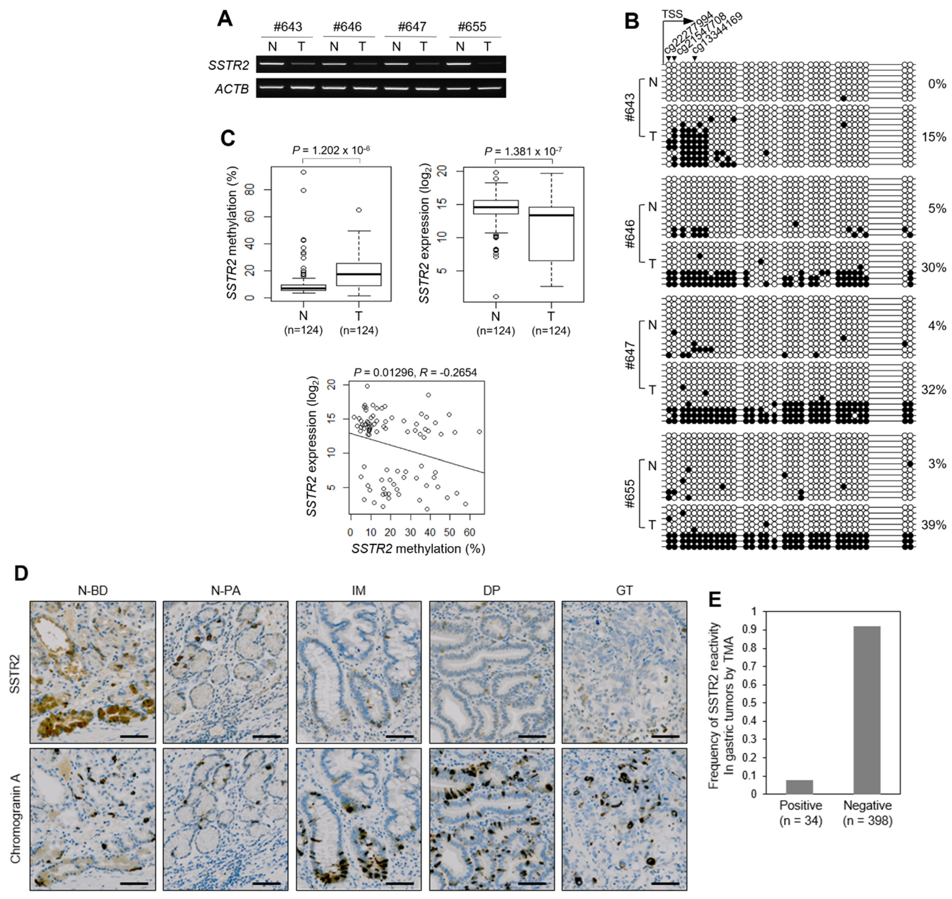 Cancers 14 06183 g002