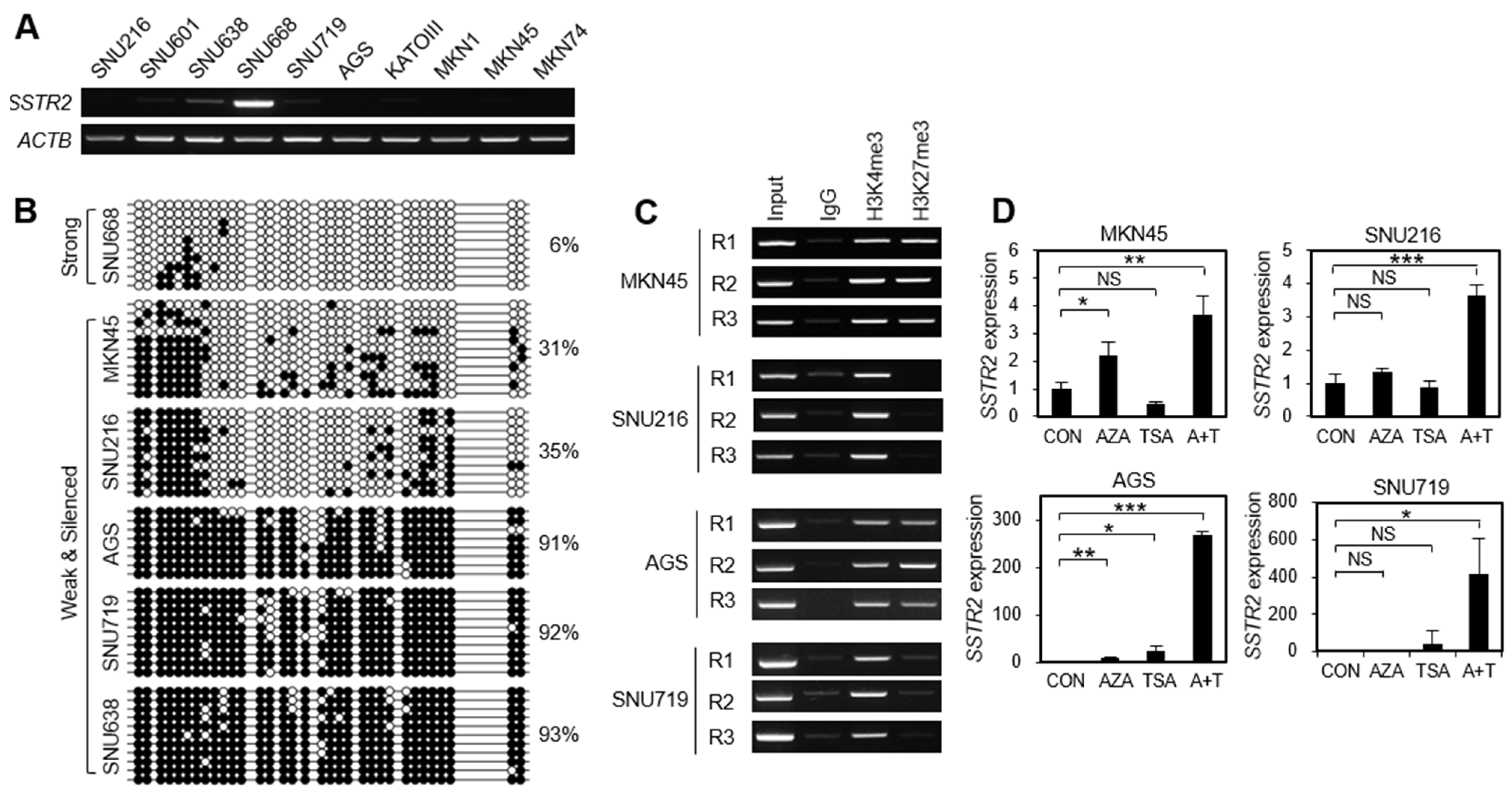 Cancers 14 06183 g003