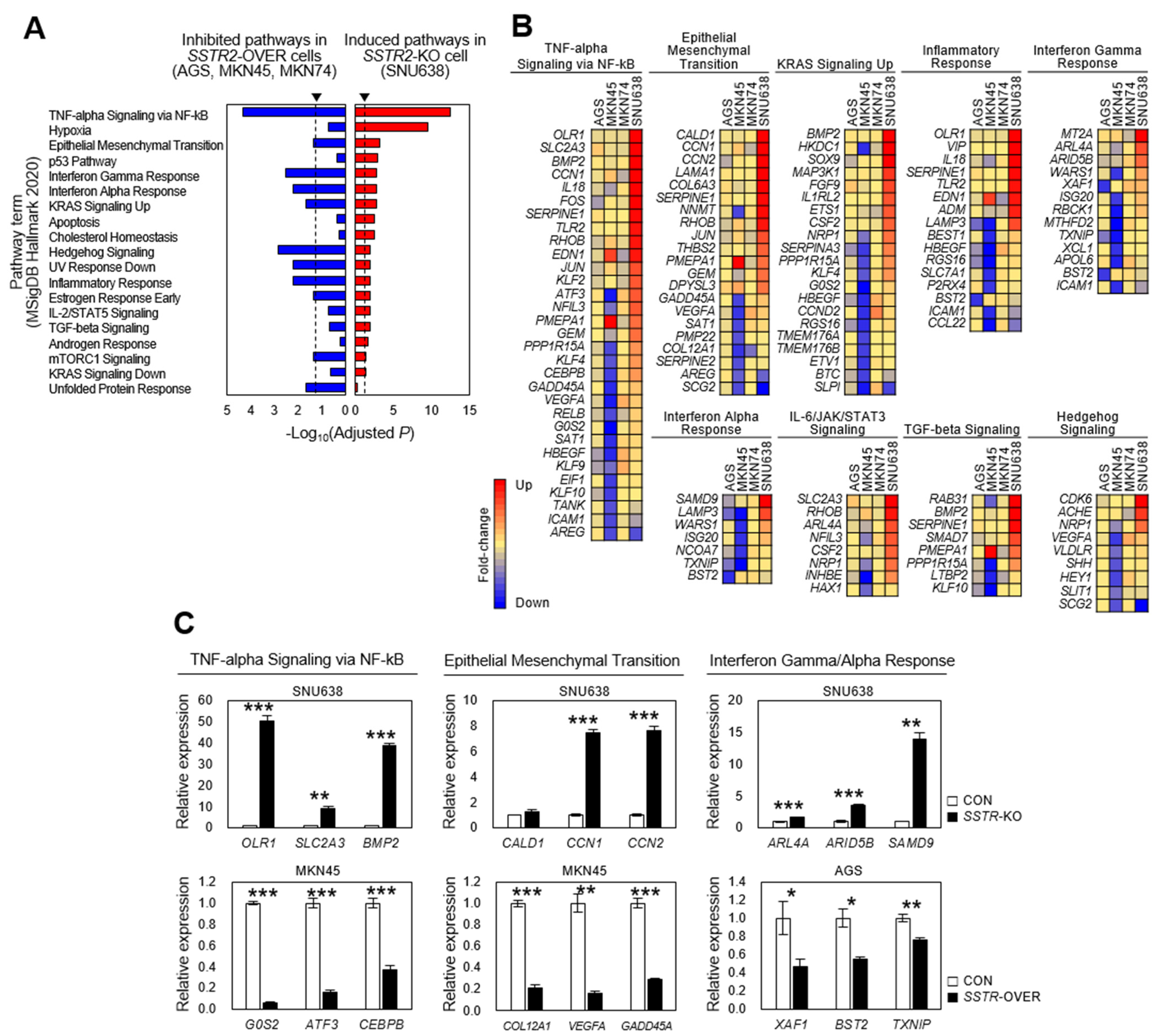 Cancers 14 06183 g006