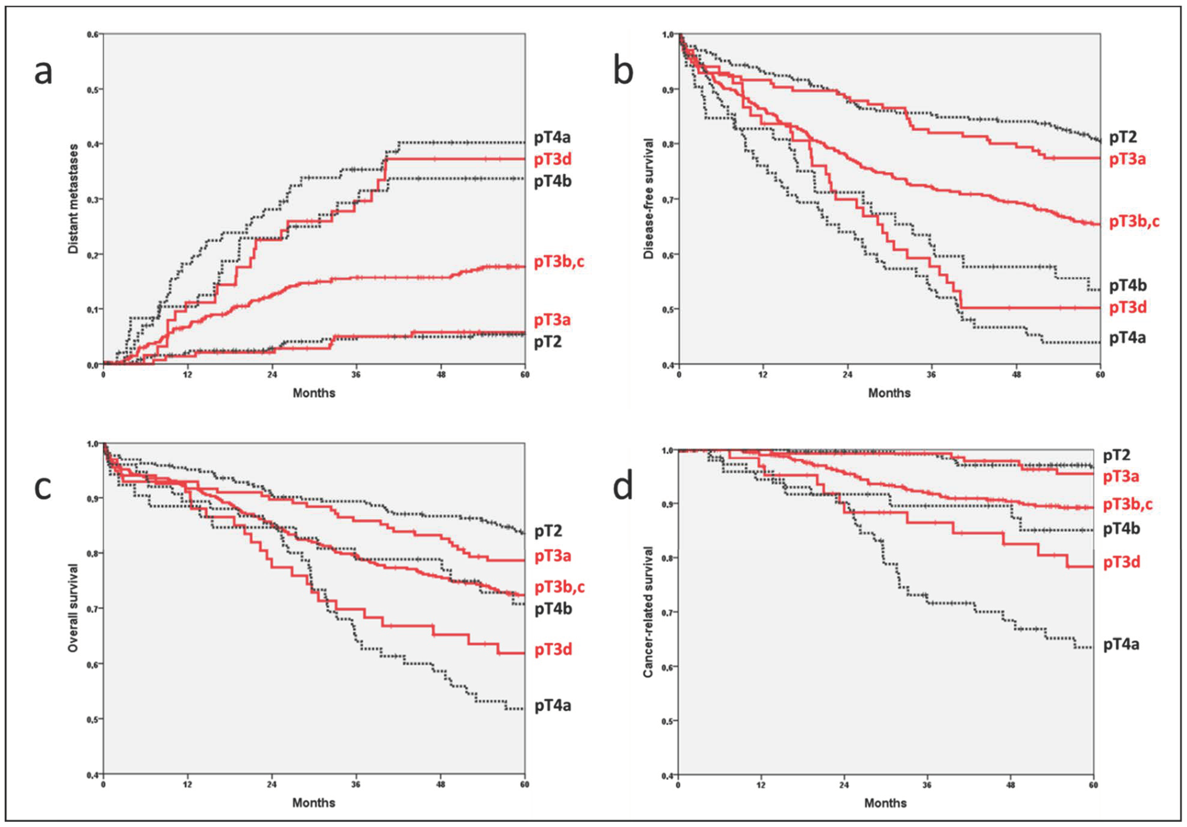 Cancers 14 06186 g002