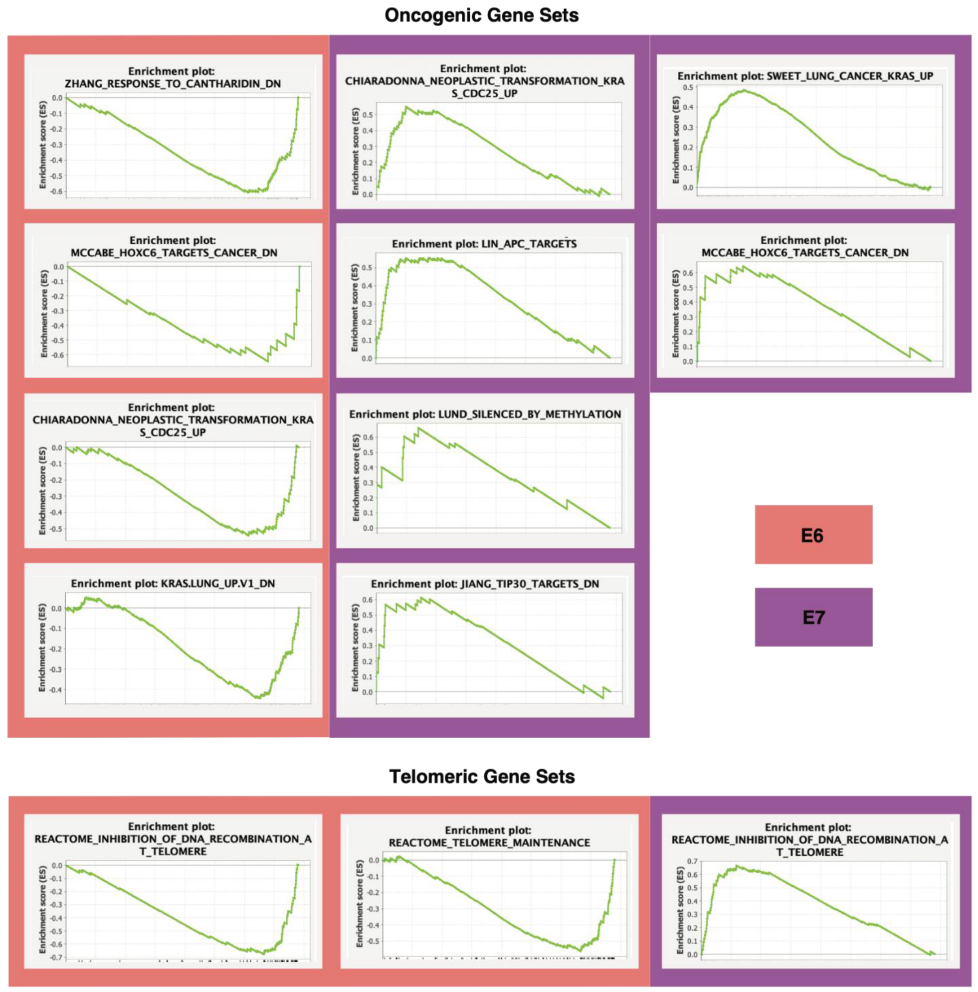 Cancers 14 06190 g007 Cancers 14 06190 g007