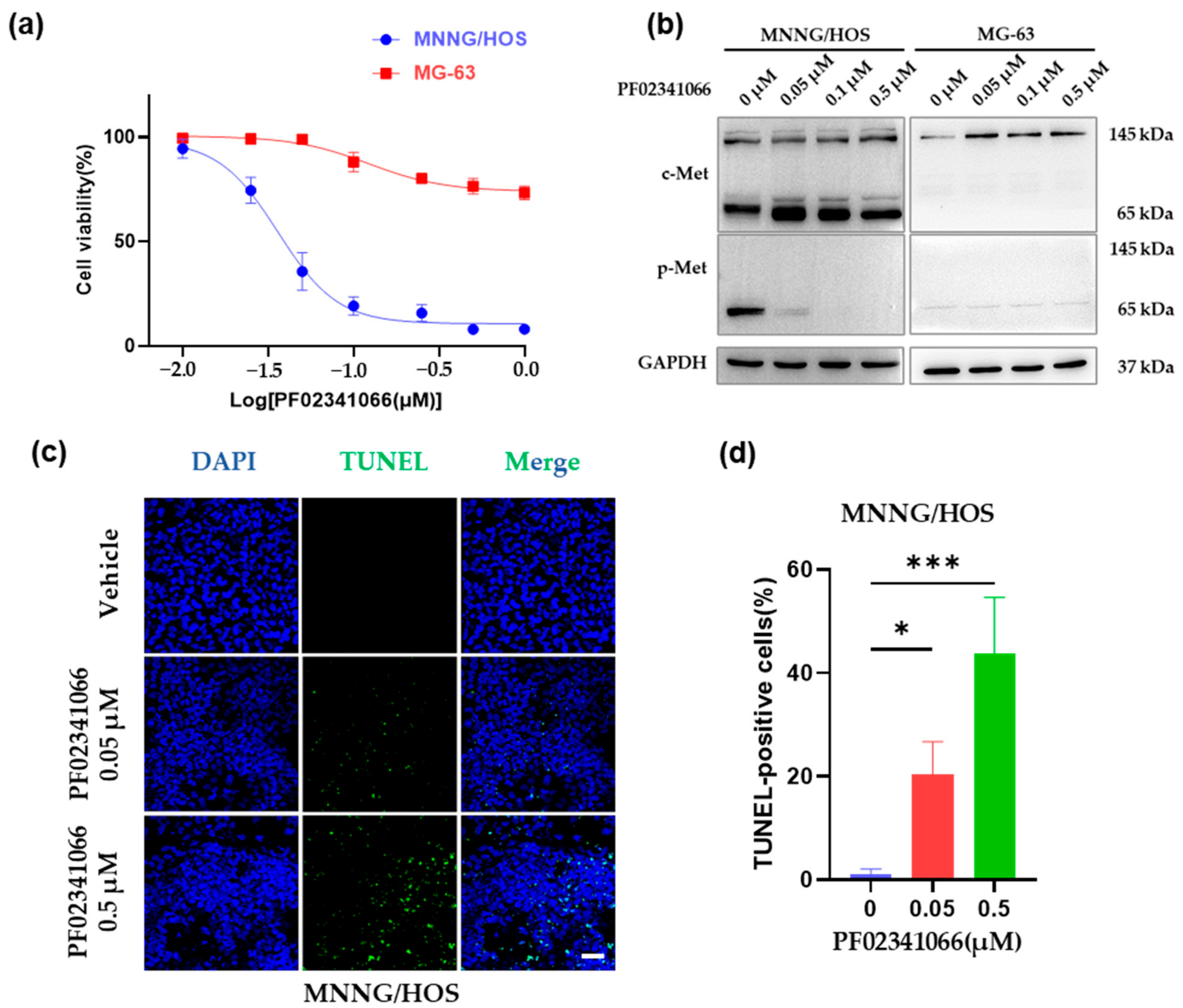 Cancers 14 06201 g001a Cancers 14 06201 g001a