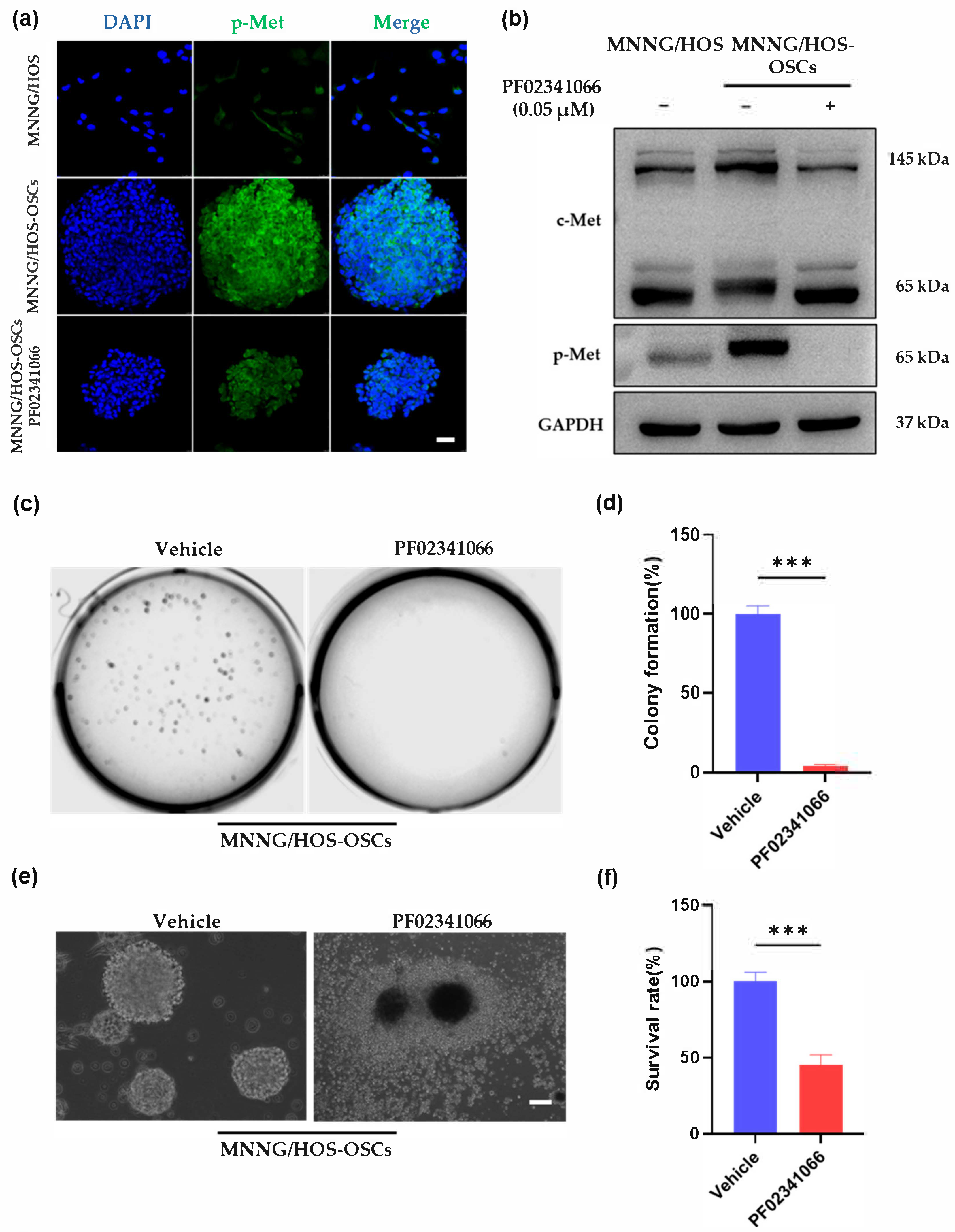 Cancers 14 06201 g002a Cancers 14 06201 g002a