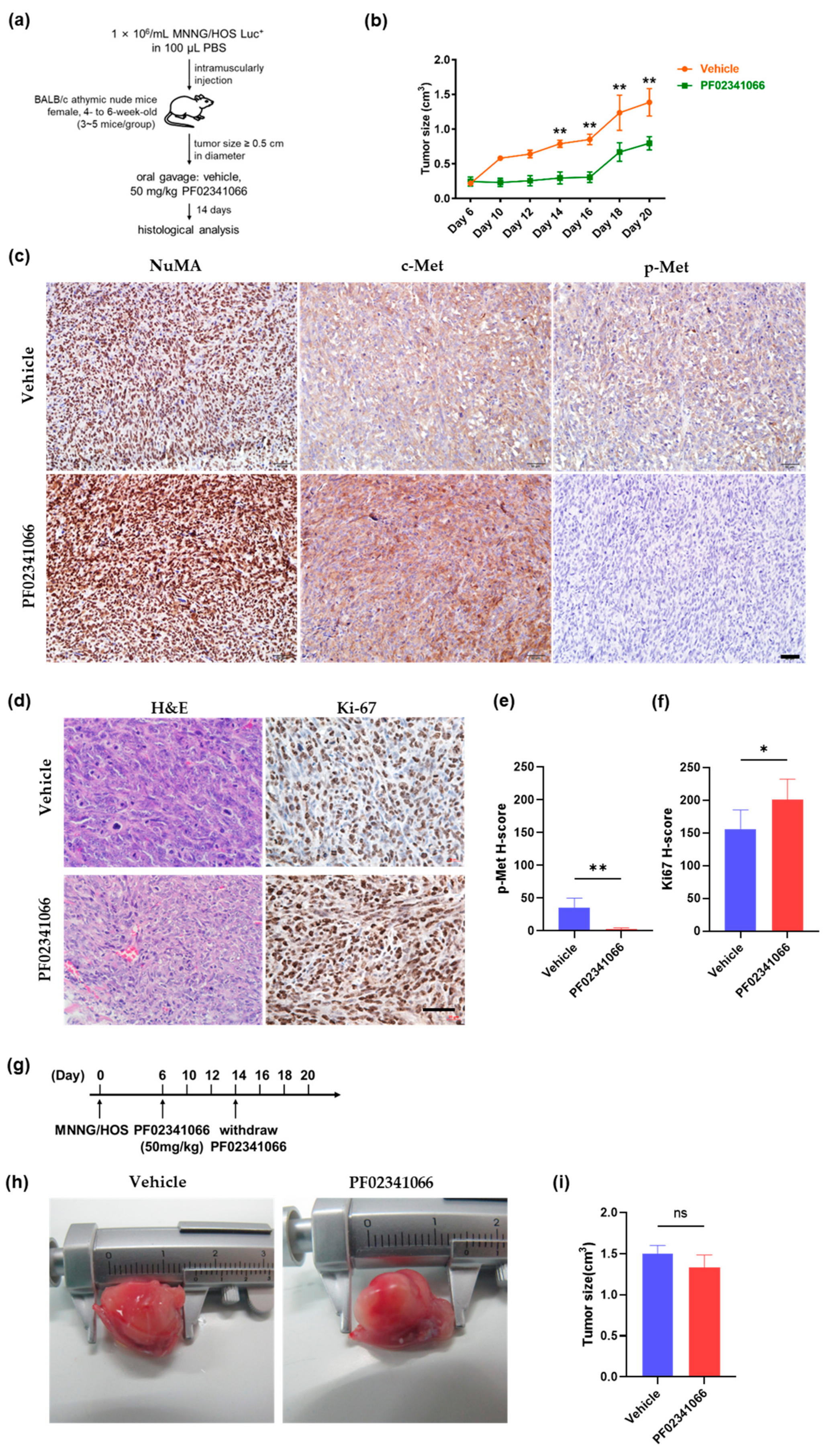 Cancers 14 06201 g003 Cancers 14 06201 g003