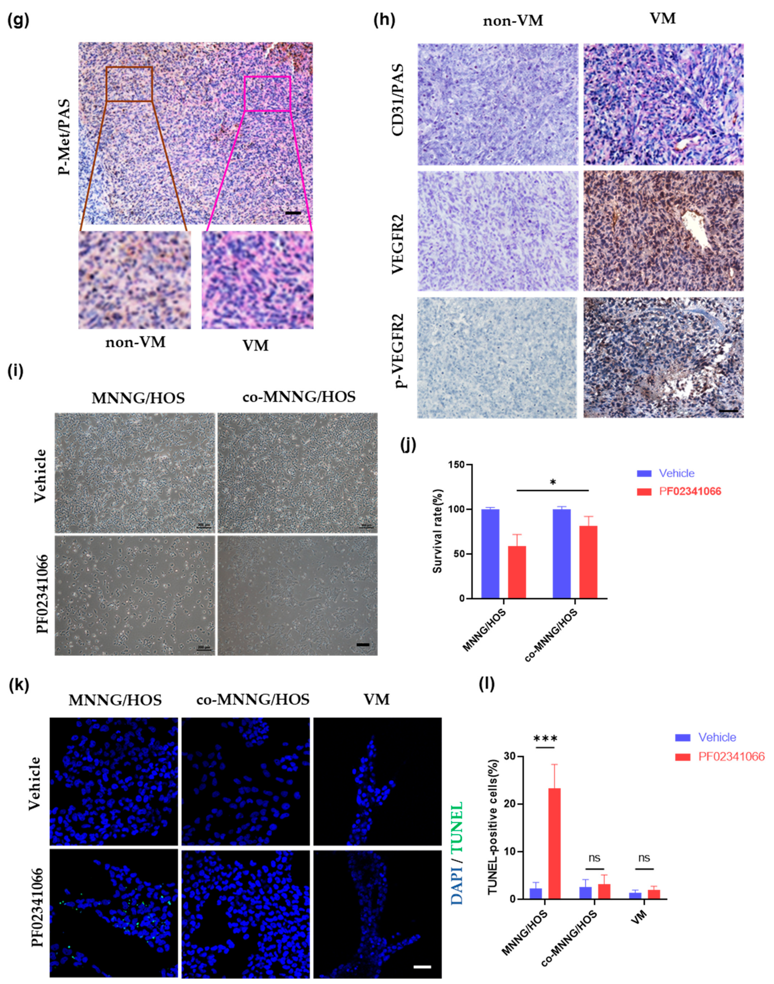Cancers 14 06201 g004b Cancers 14 06201 g004b