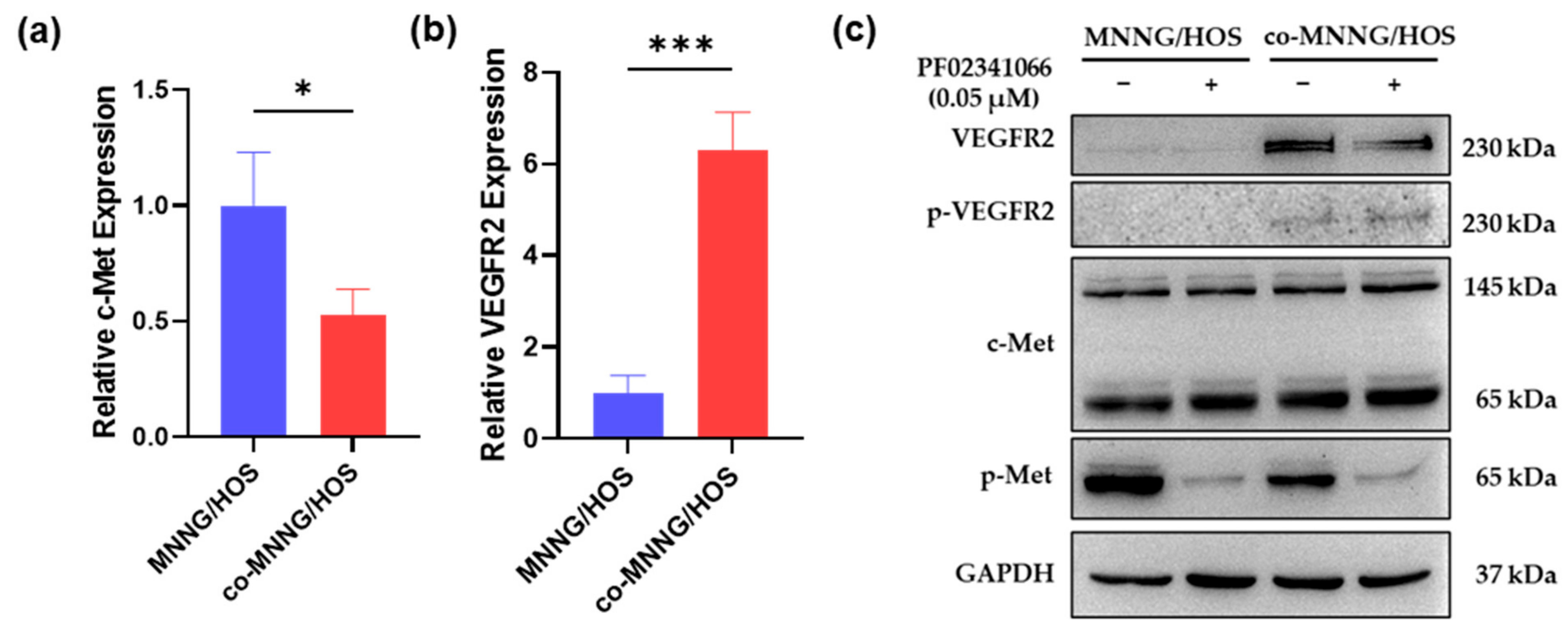 Cancers 14 06201 g005a Cancers 14 06201 g005a