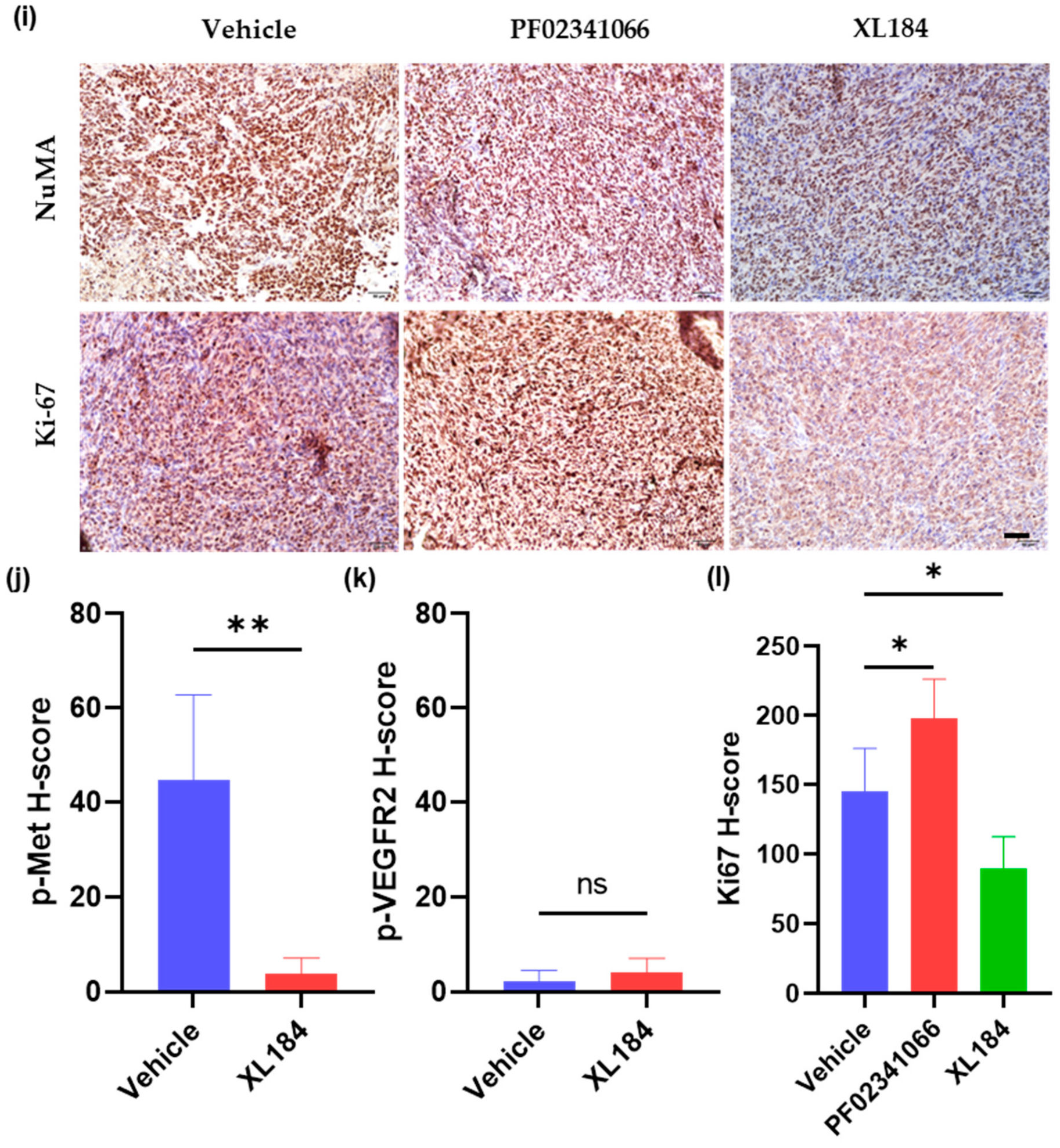 Cancers 14 06201 g006c Cancers 14 06201 g006c
