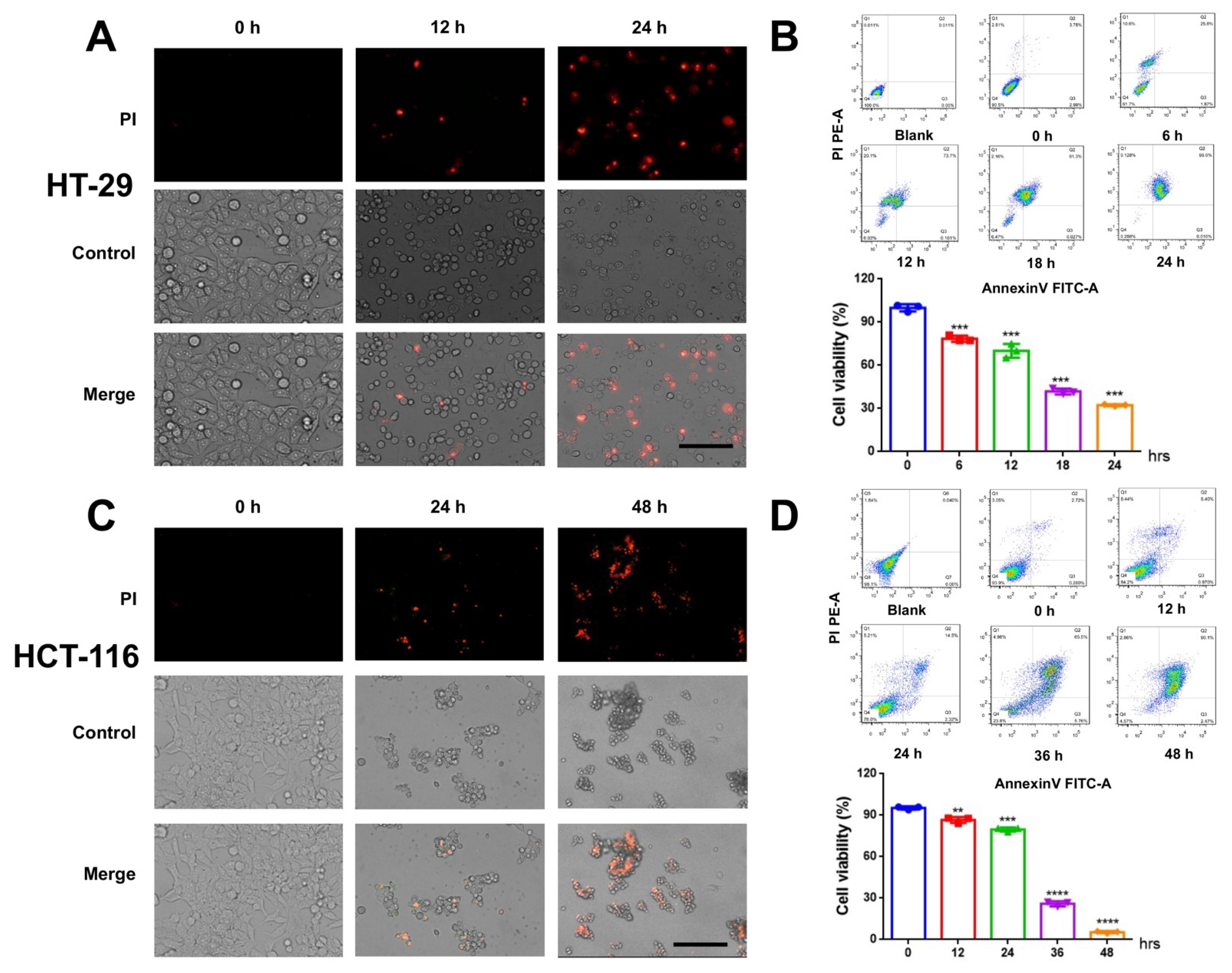 Cancers 14 06206 g001