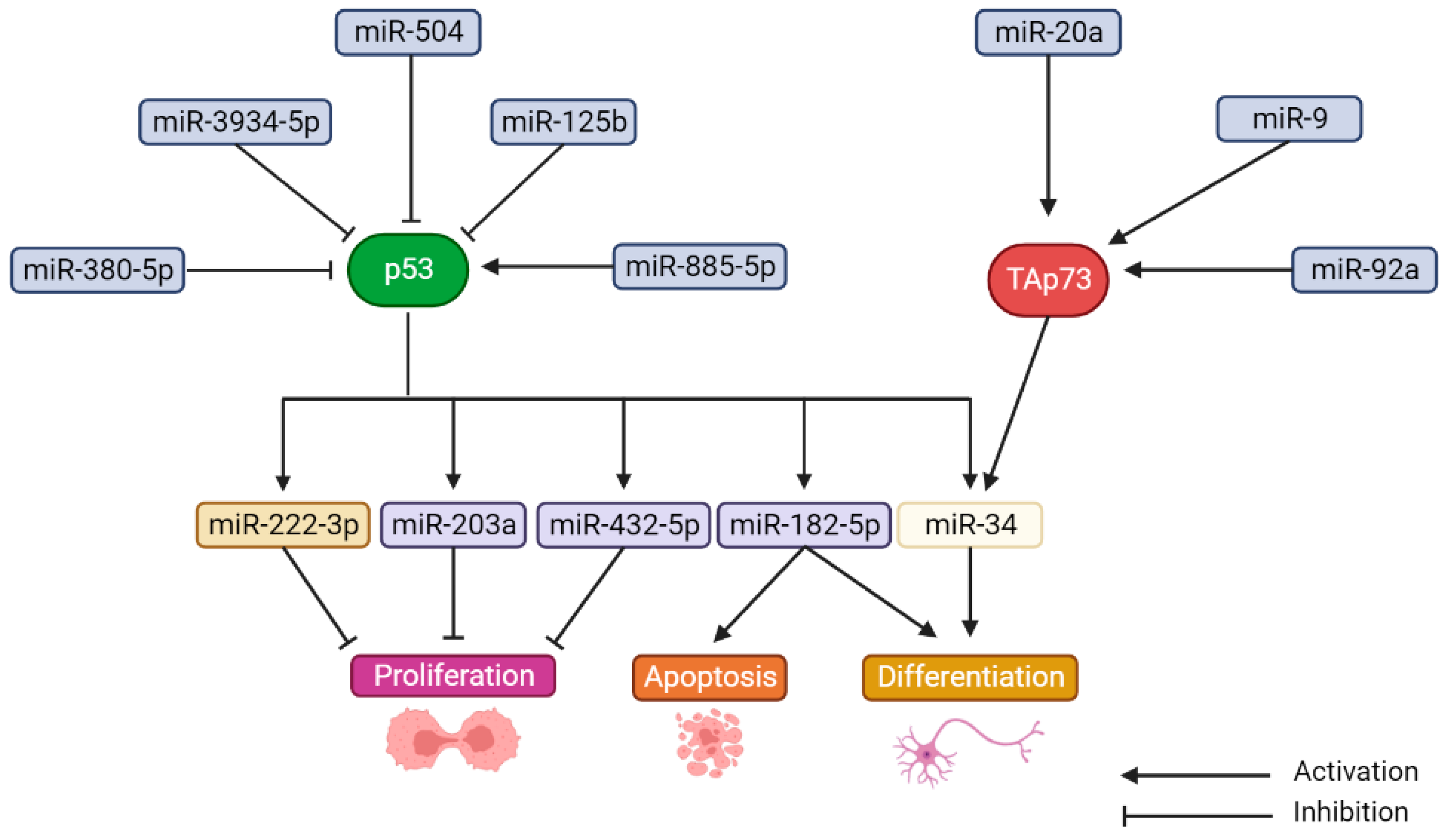 Cancers 14 06212 g003 Cancers 14 06212 g003