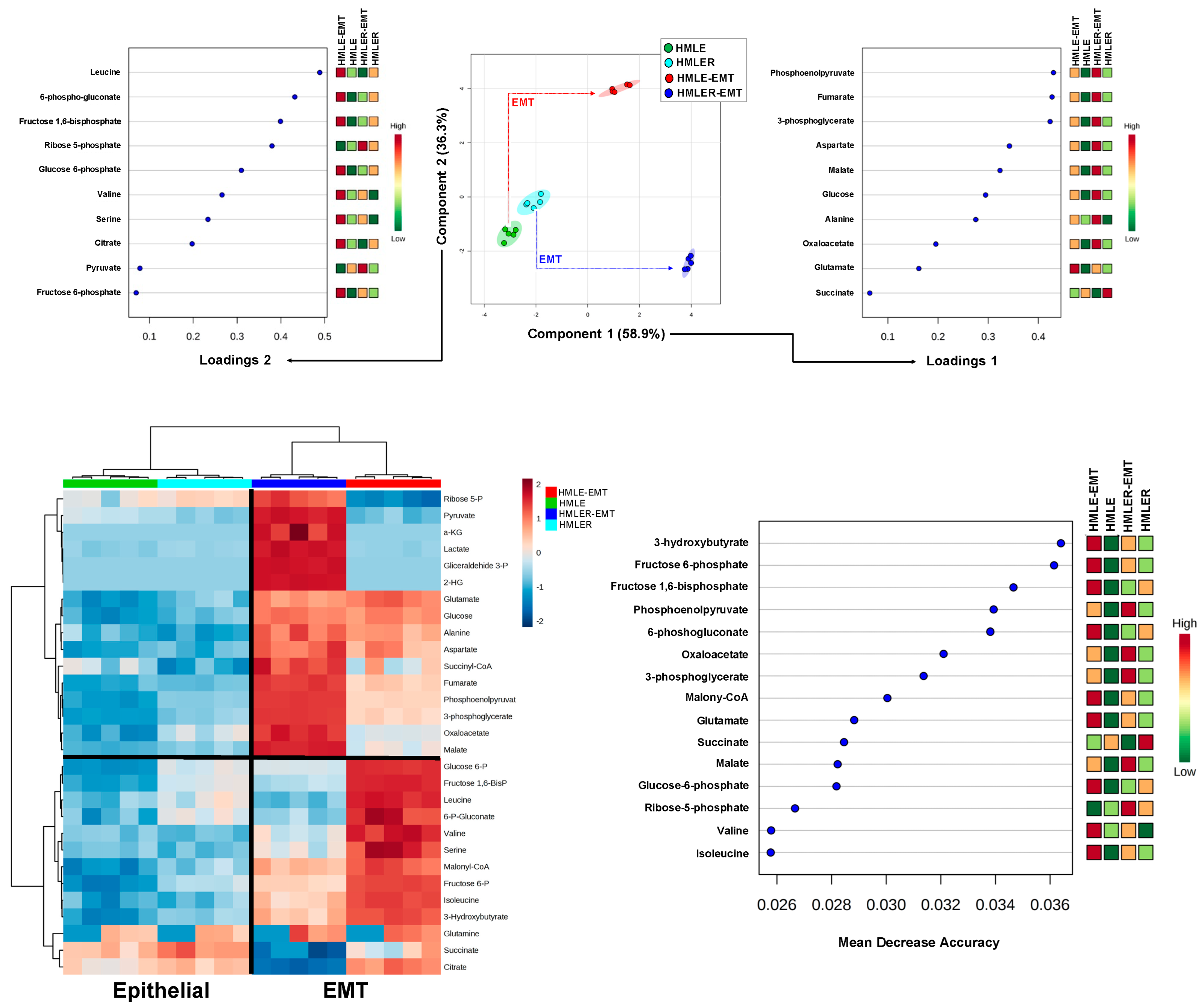 Cancers 14 06214 g004 Cancers 14 06214 g004