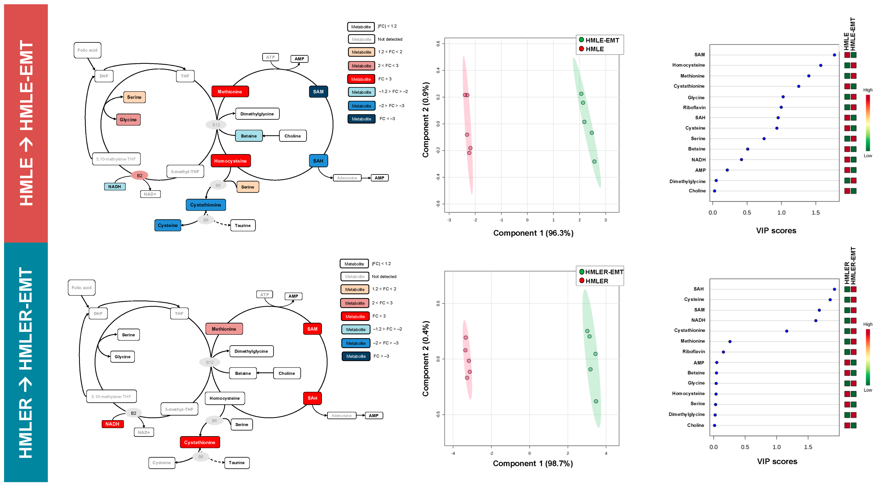 Cancers 14 06214 g005 Cancers 14 06214 g005