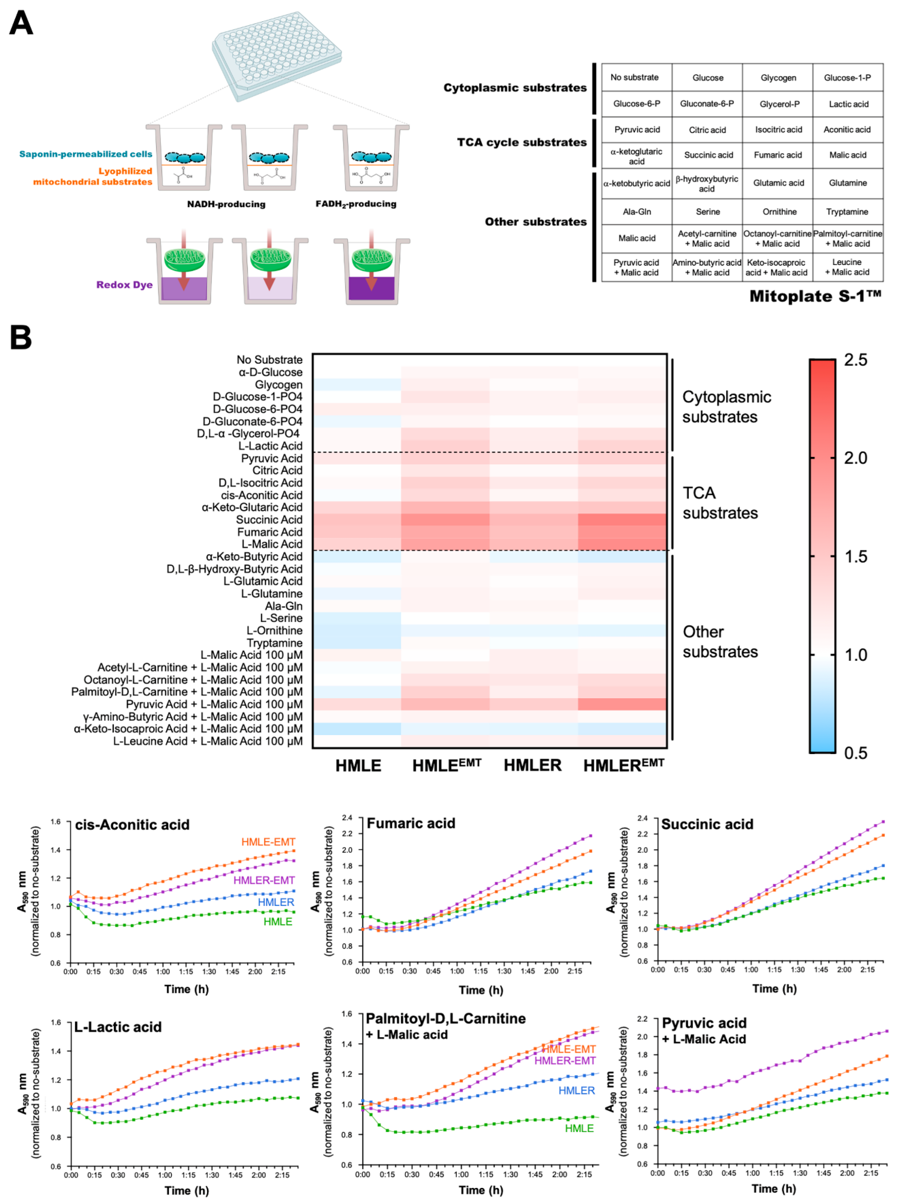 Cancers 14 06214 g007 Cancers 14 06214 g007