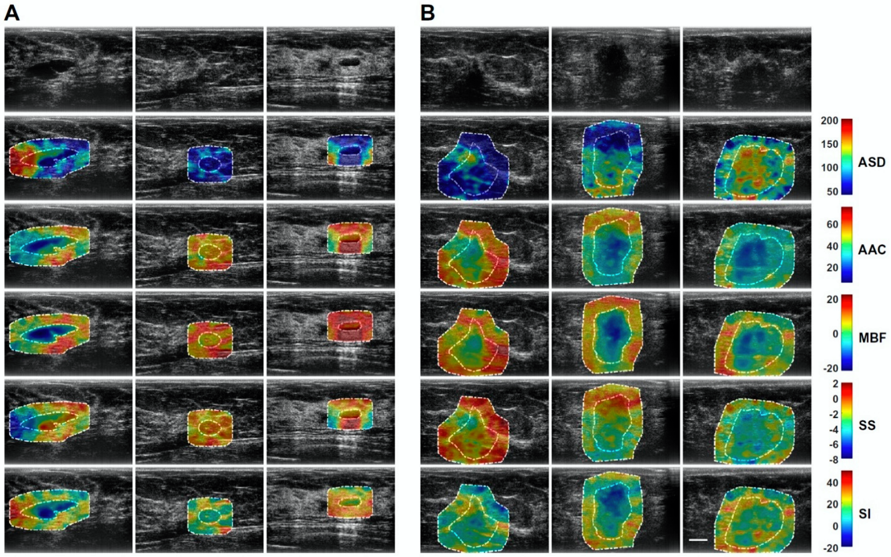 Cancers 14 06217 g002