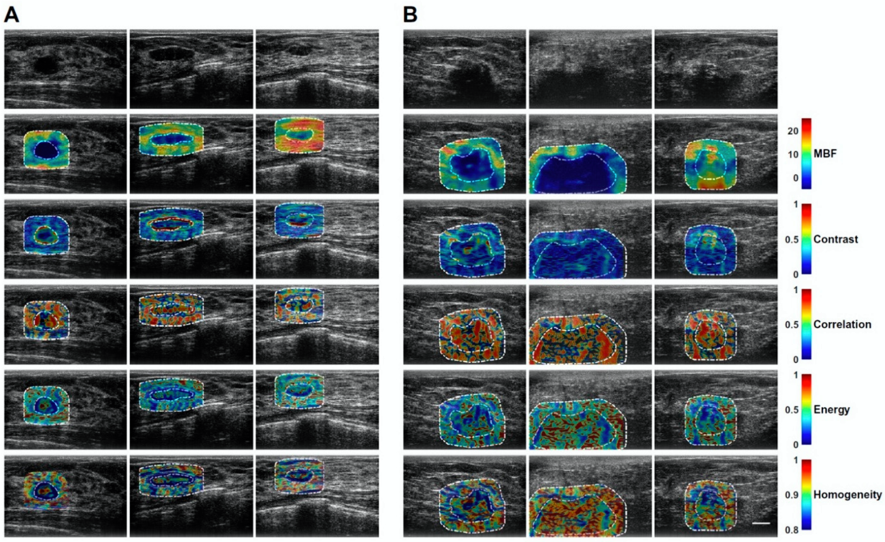 Cancers 14 06217 g003