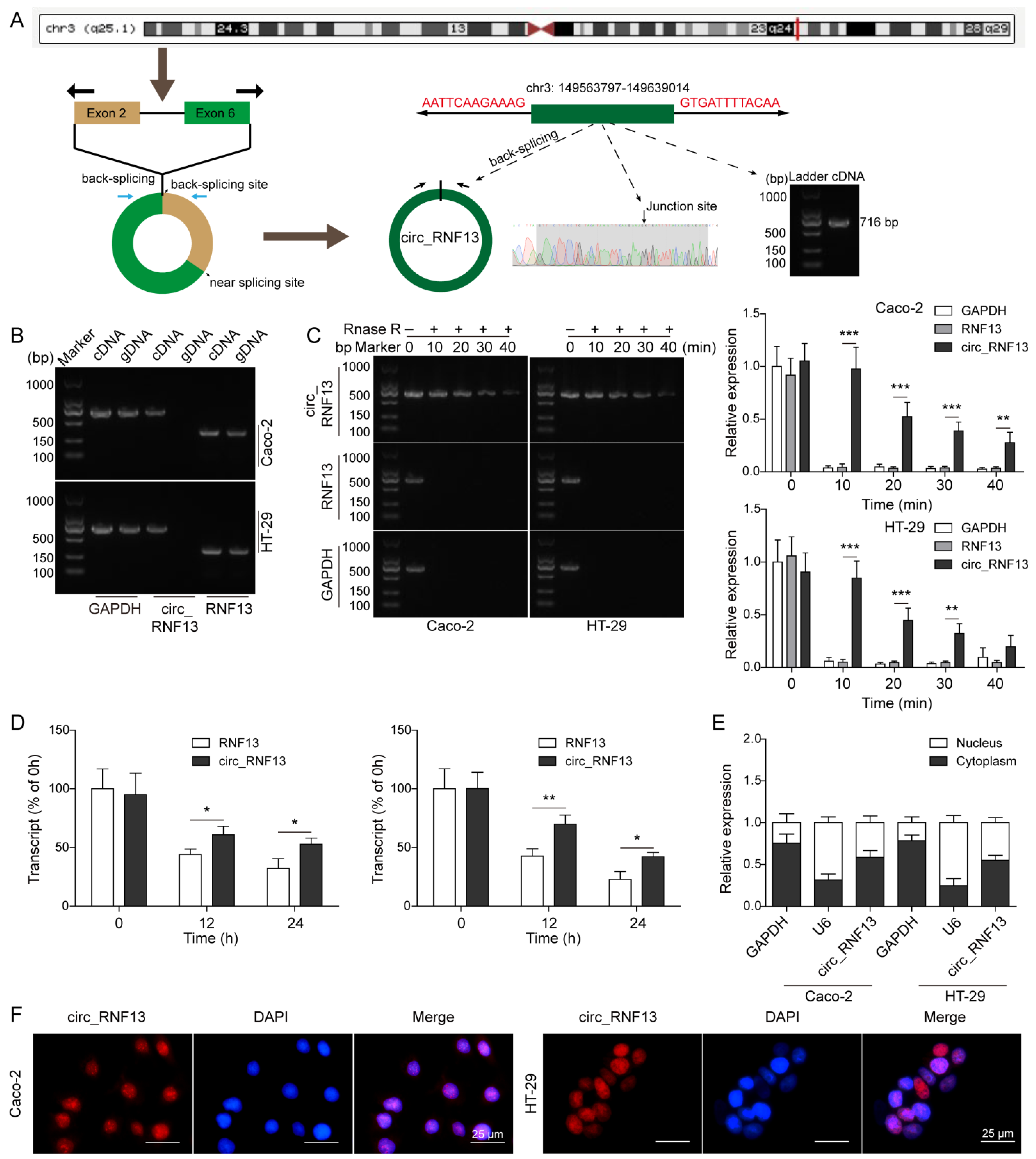 Cancers 14 06218 g001
