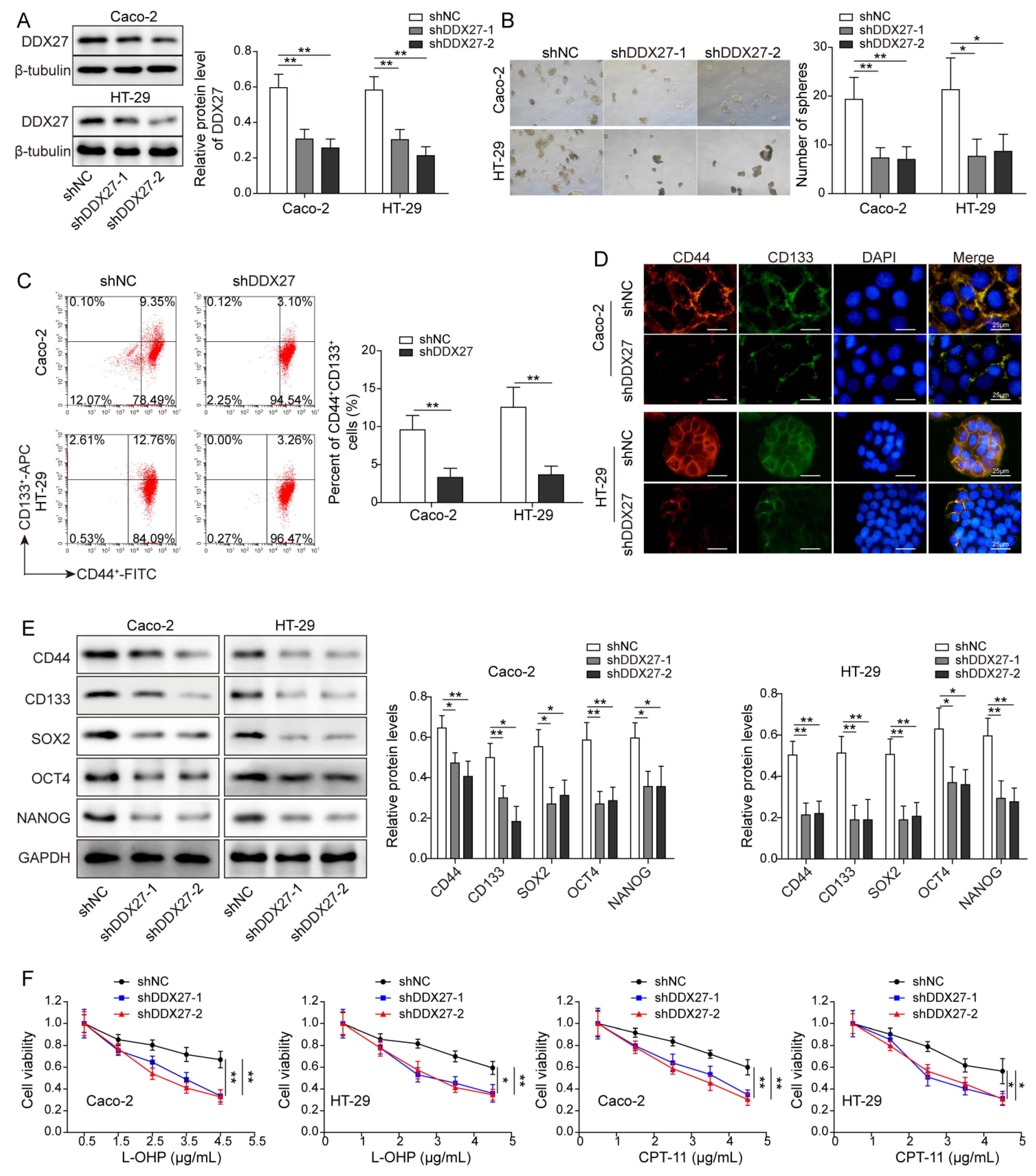 Cancers 14 06218 g004a