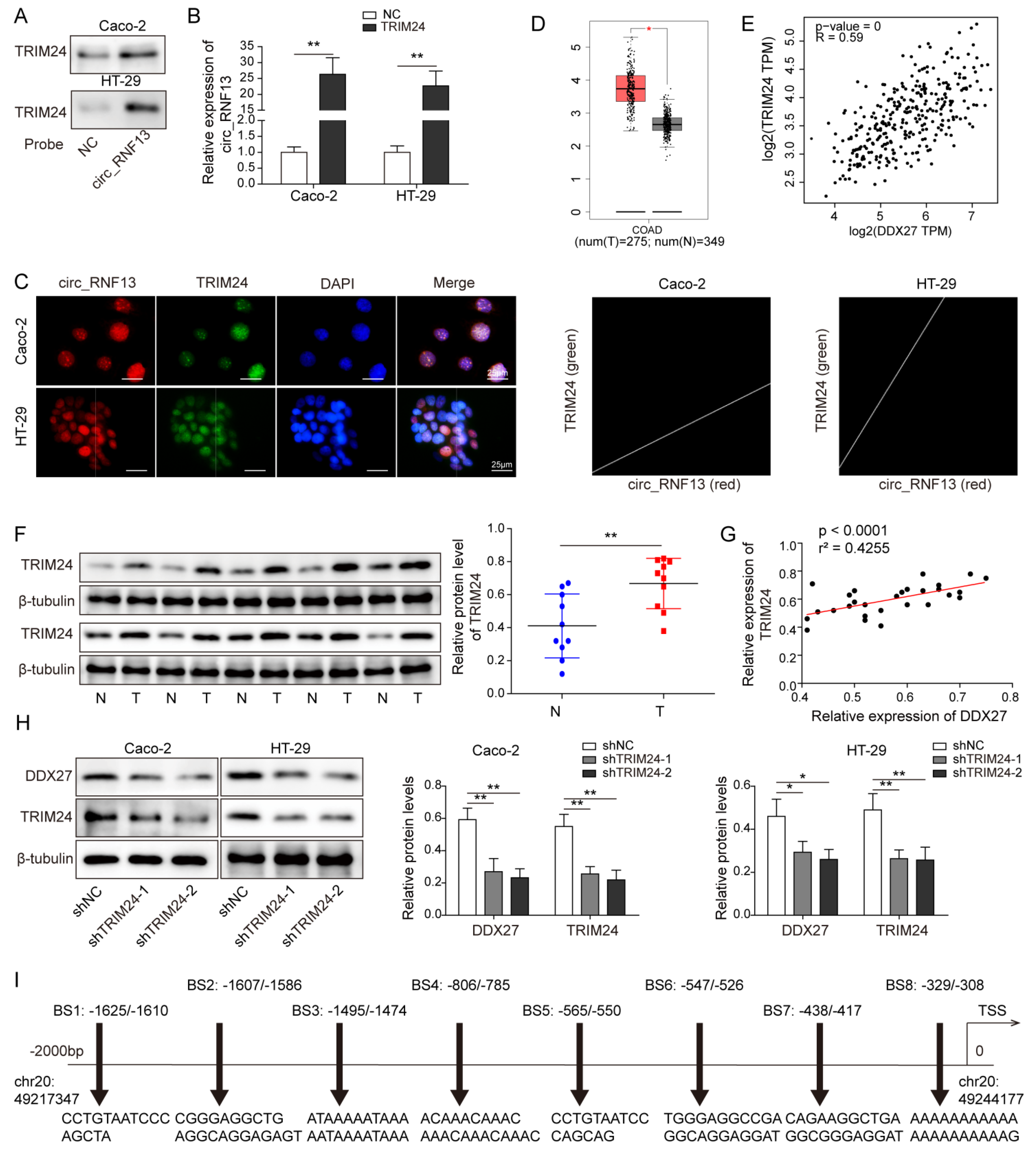 Cancers 14 06218 g005a