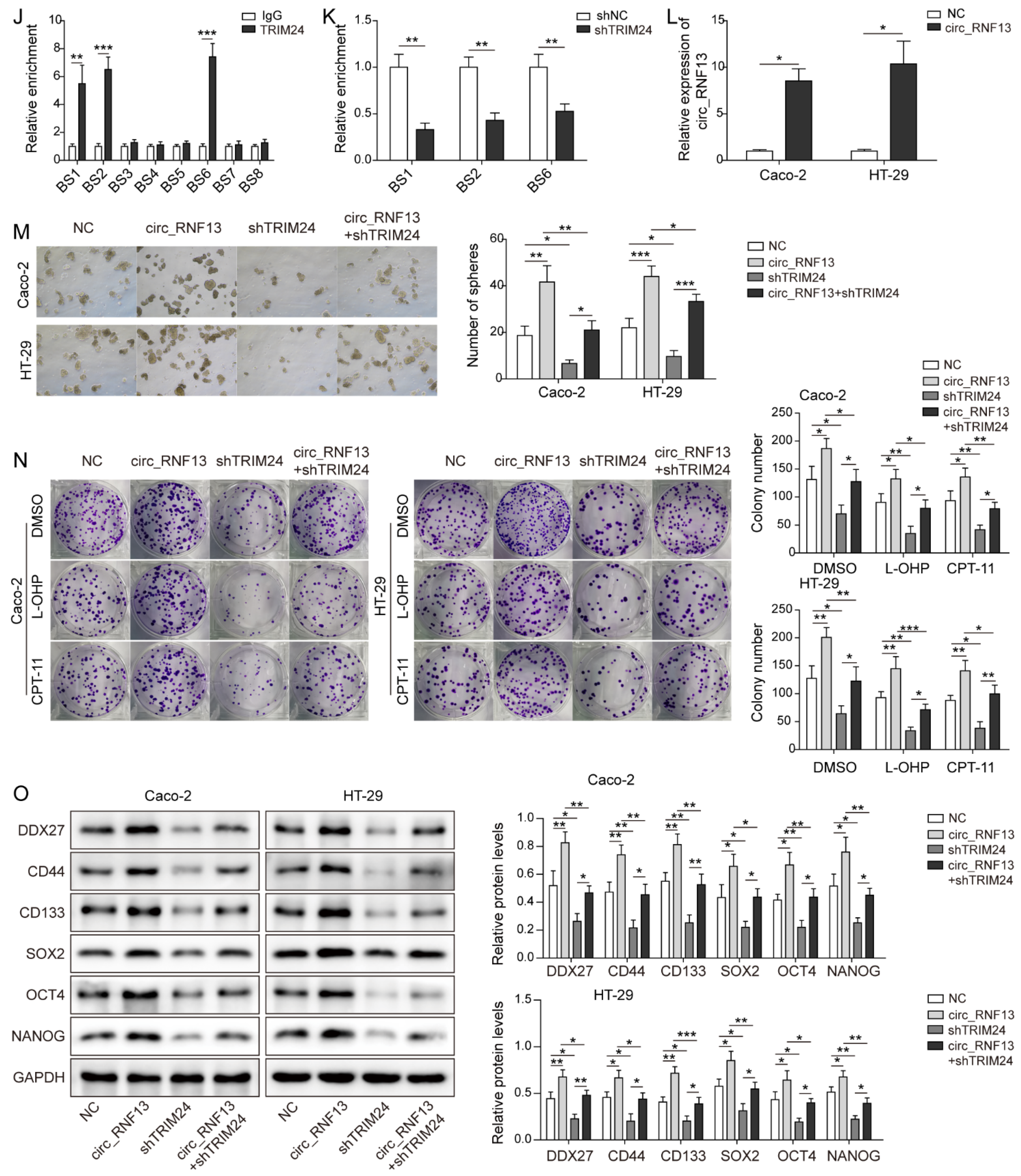 Cancers 14 06218 g005b