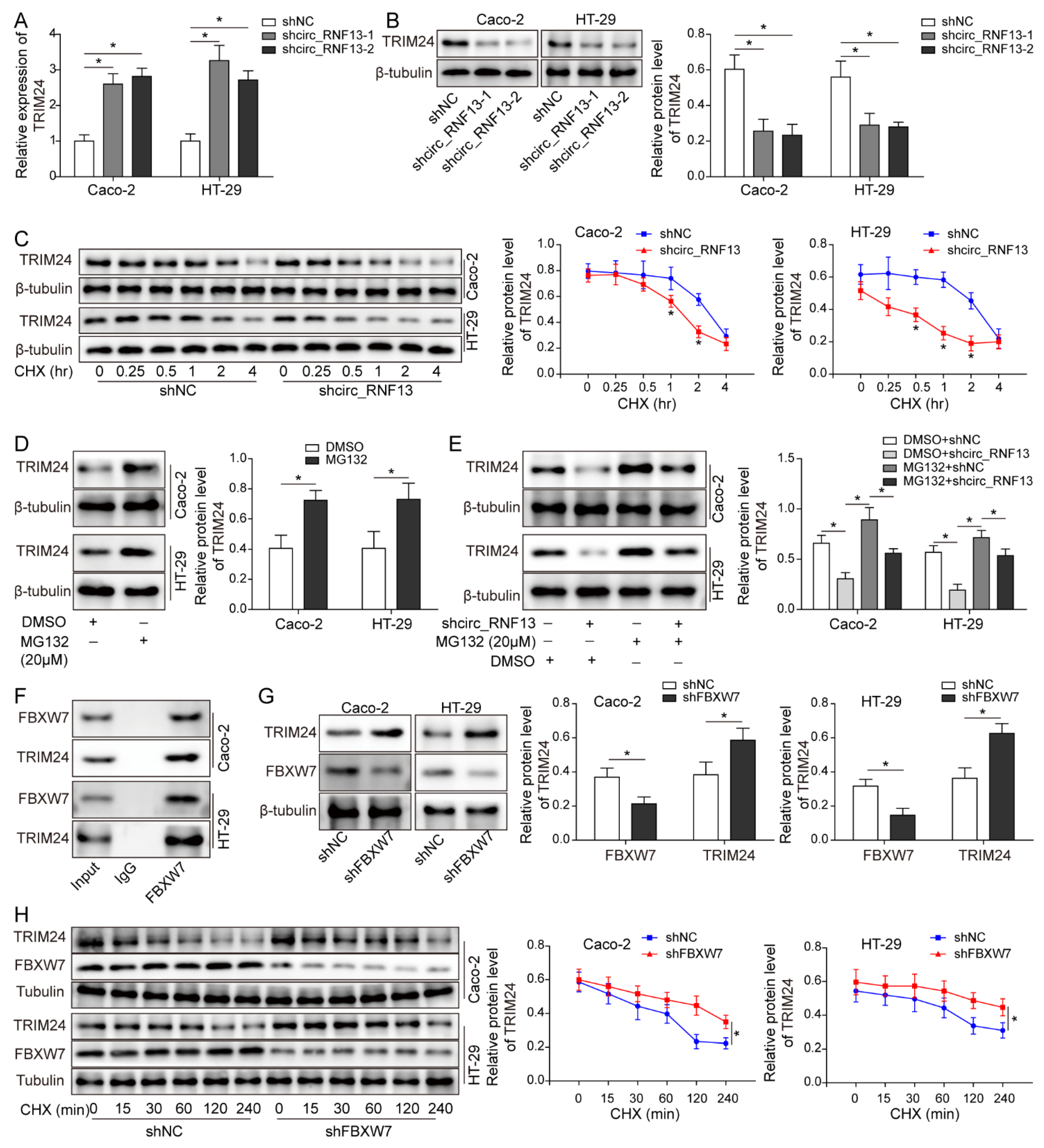 Cancers 14 06218 g006a