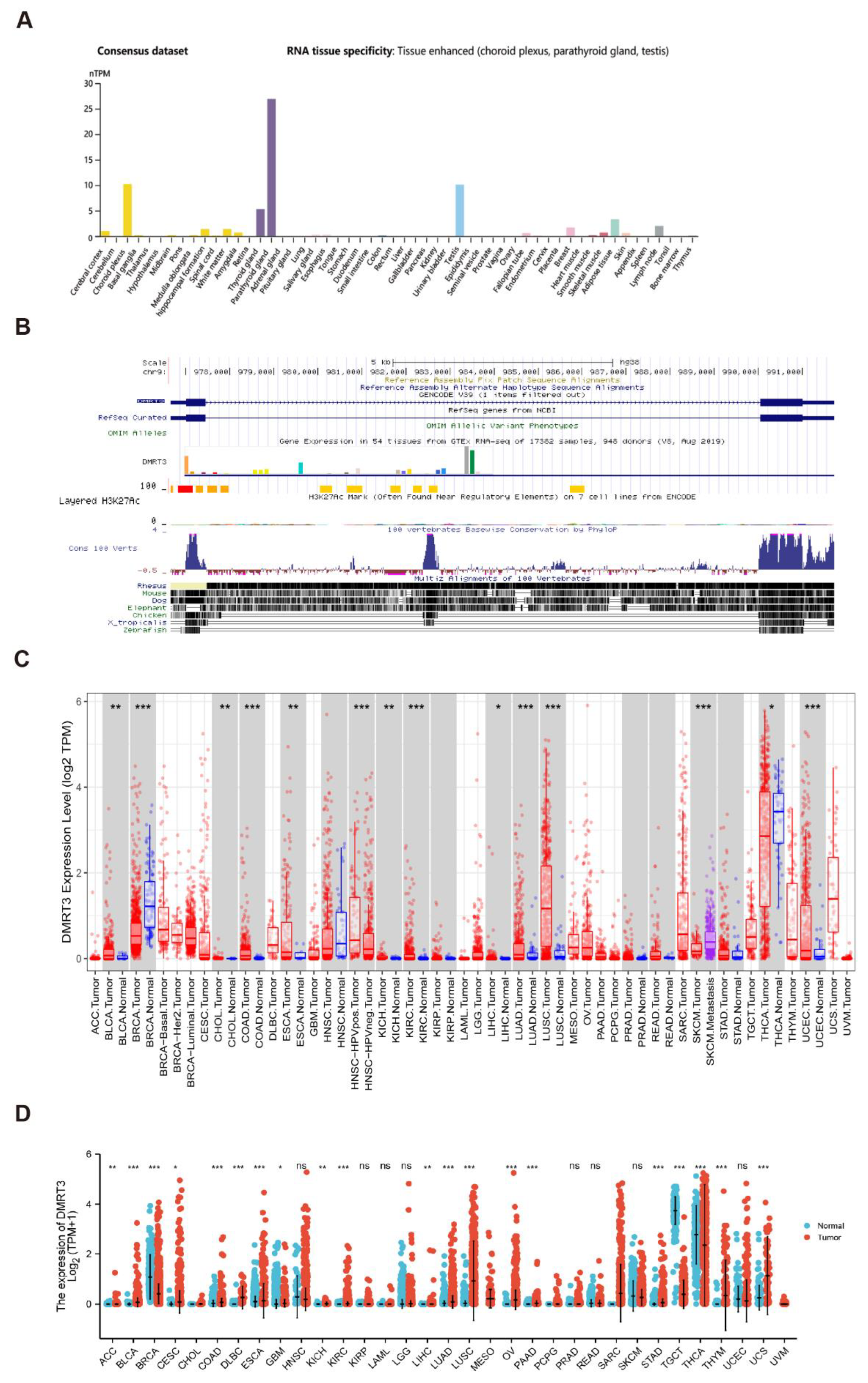 Cancers 14 06220 g001