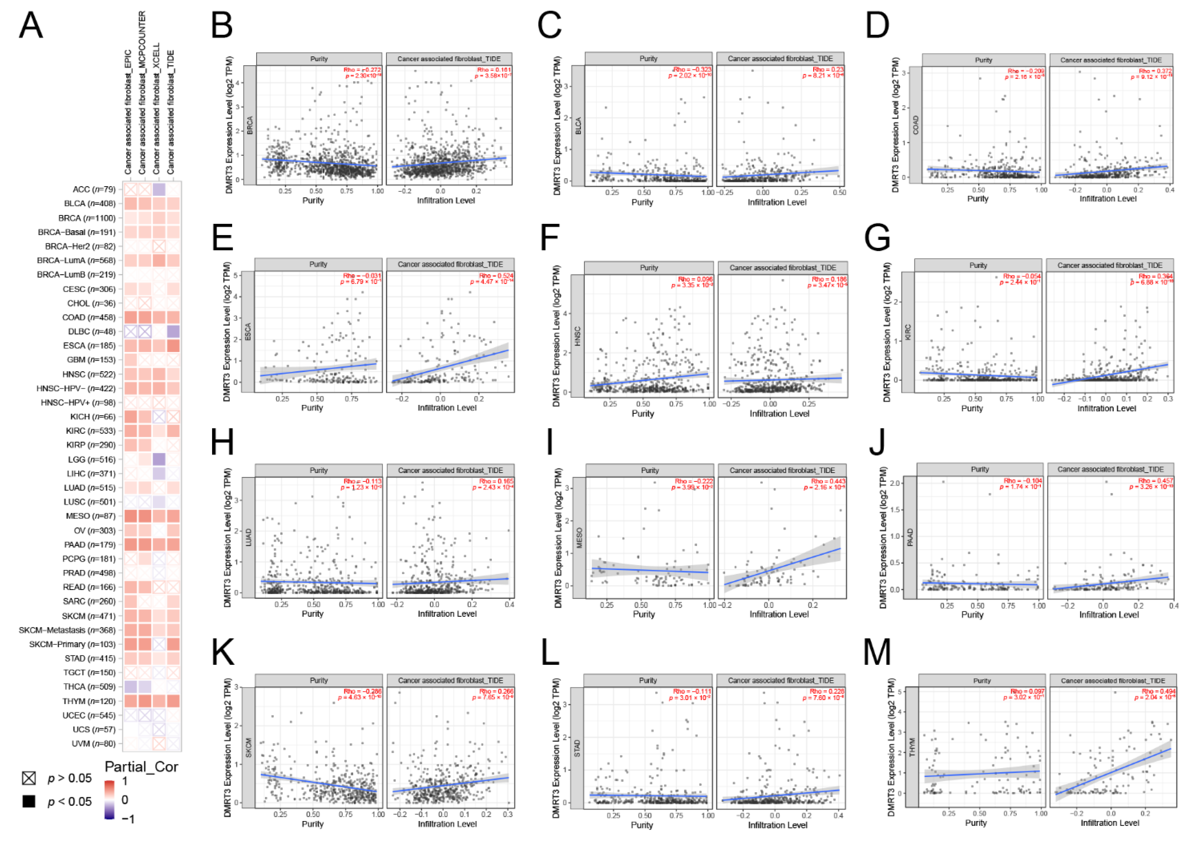 Cancers 14 06220 g007