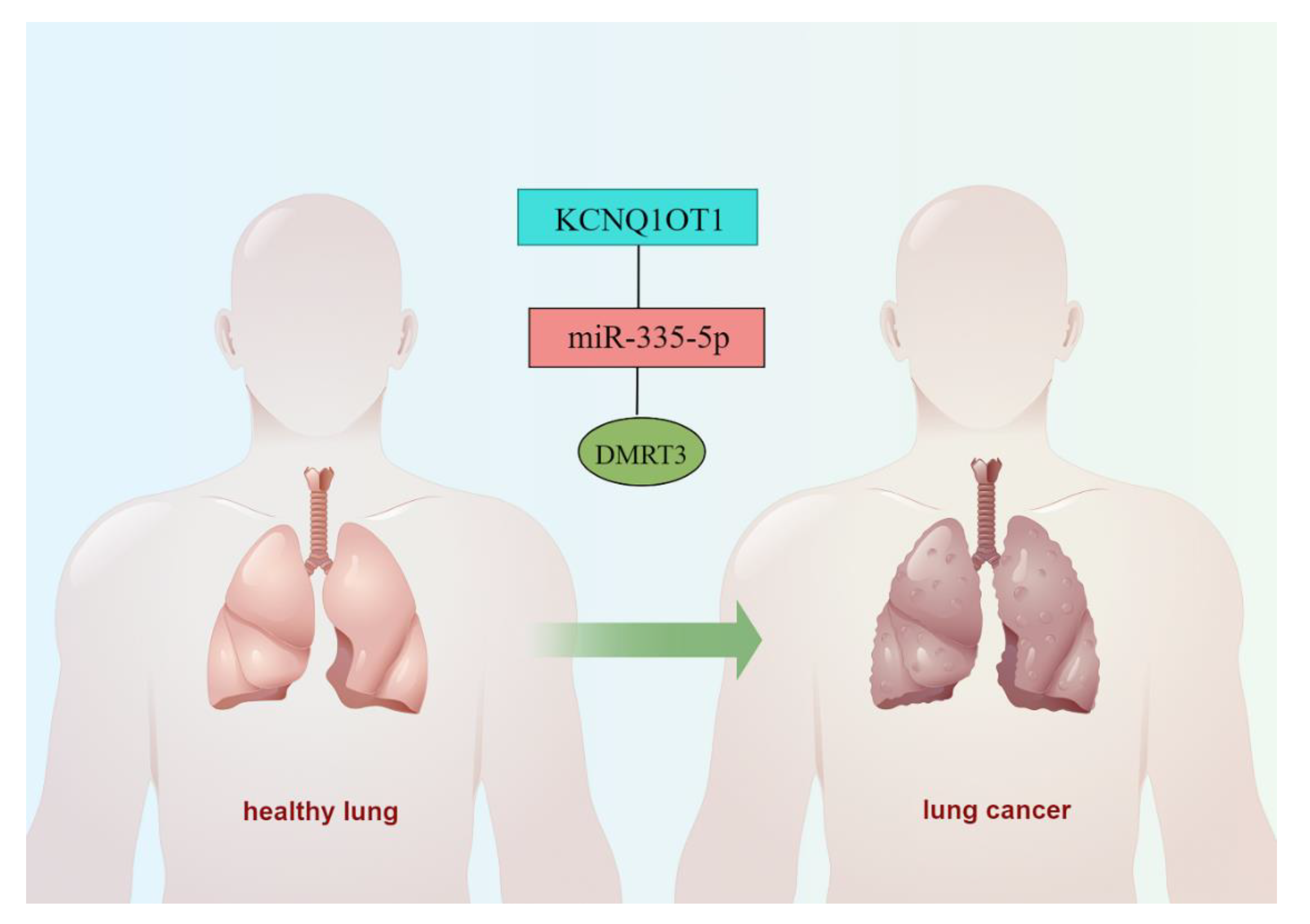 Cancers 14 06220 g012