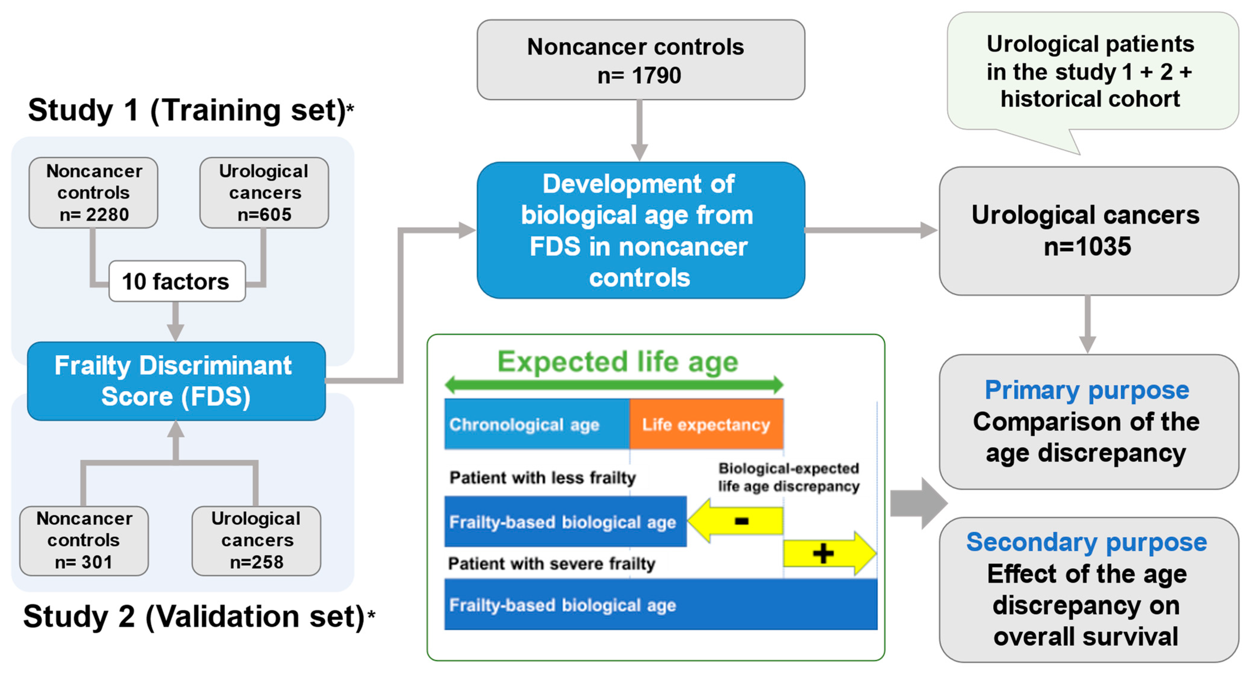 Cancers 14 06229 g001